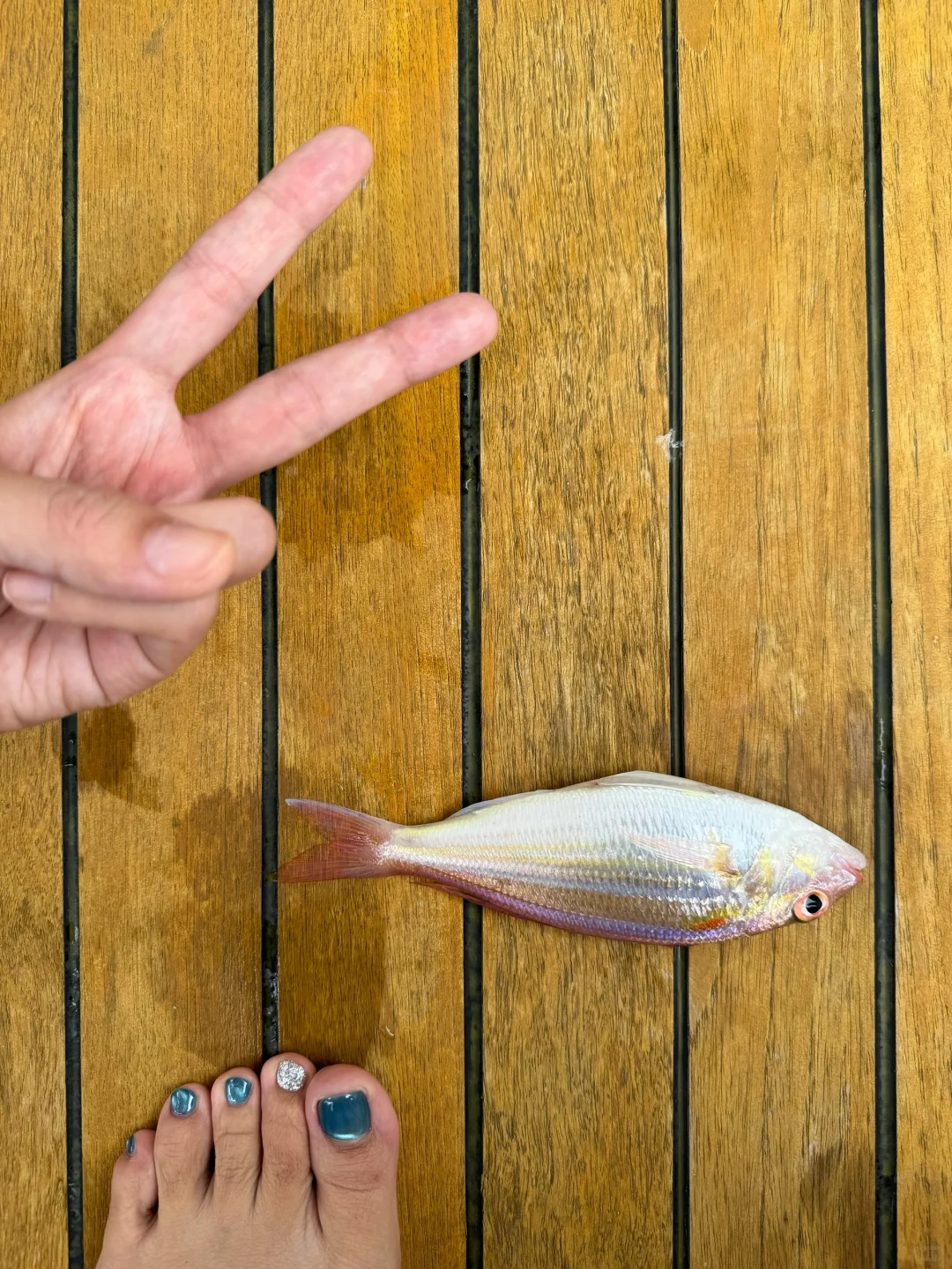 人生建议：带娃去陵水，一定要暑假去！！