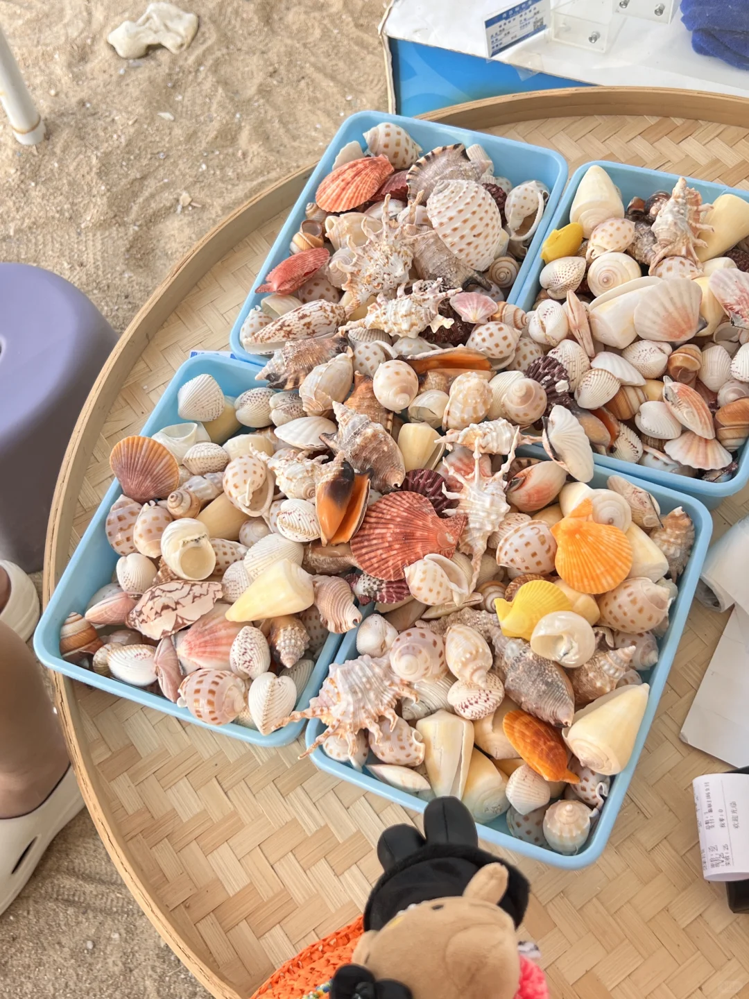 来三亚一定要去这🐚玻璃海好美‧₊˚⋆♡̷☆₊