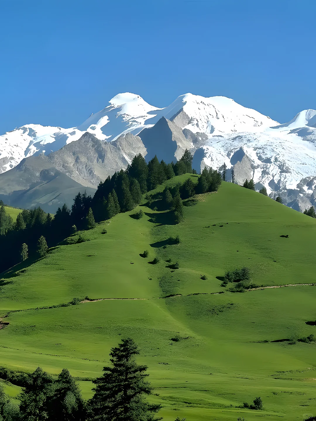 6.20📍格聂南线已回，这不比瑞士还美