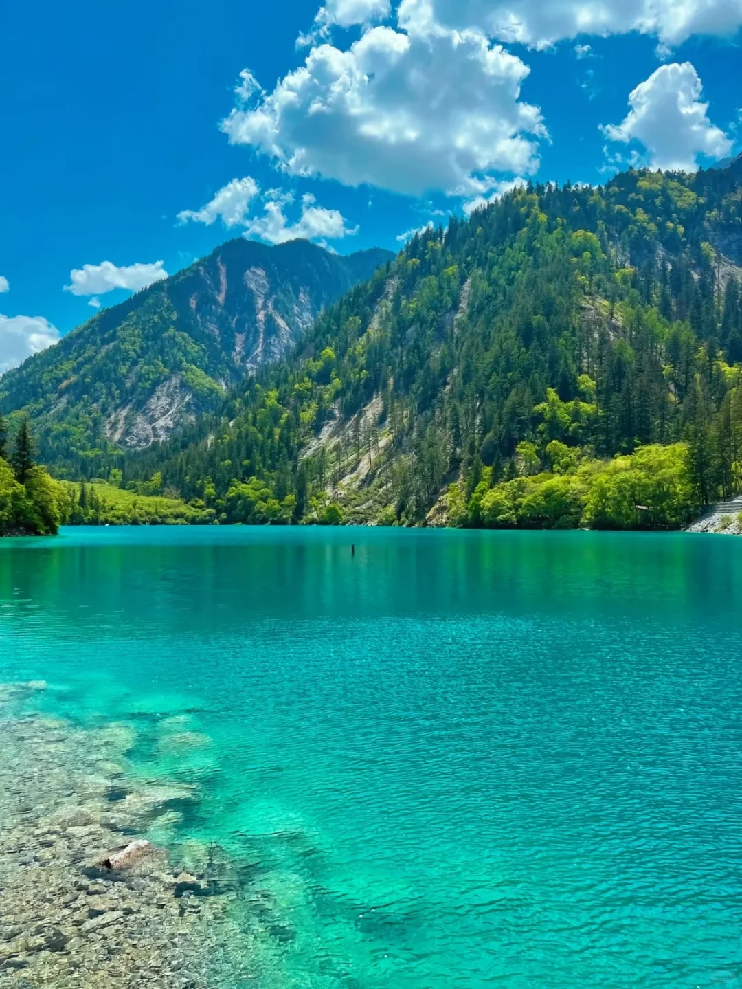 1000块💰玩转九寨沟两天一夜