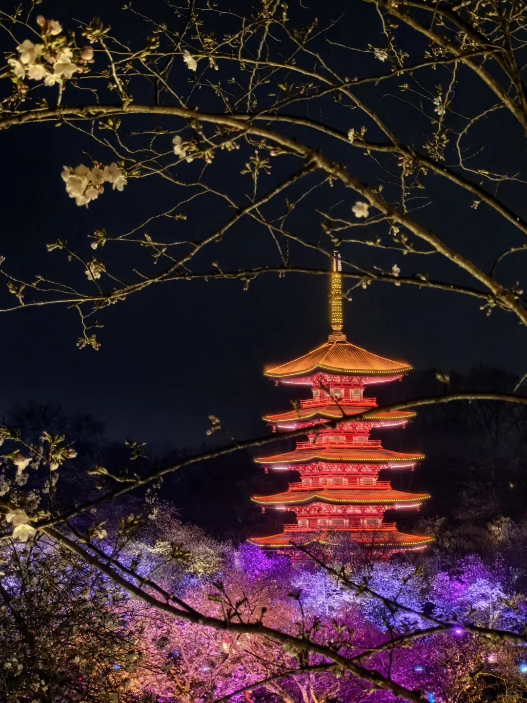 湖南-湖北｜长沙-武汉5日游攻略4️⃣.2️⃣