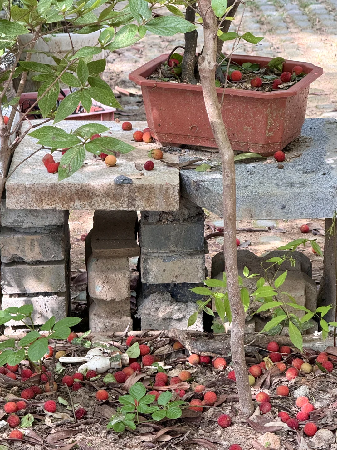 去莫干山一次等于看心理医生一百次‼️附攻略