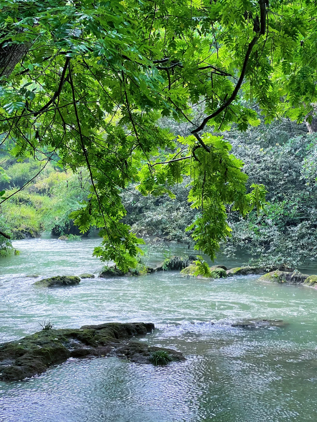 贵州必打卡！黄果树瀑布超全游玩攻略（附live