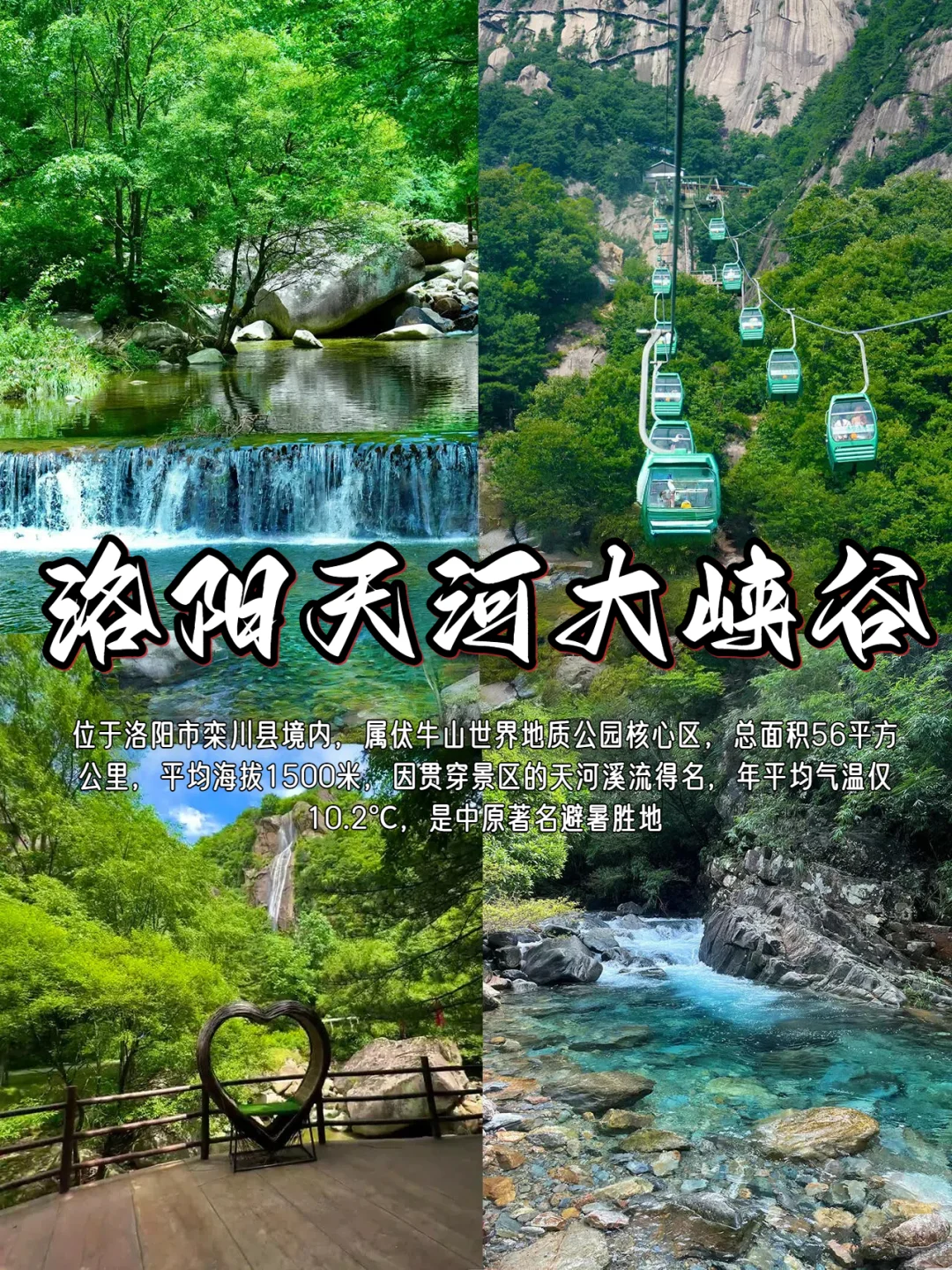 🔥 天热了，来河南避暑吧🔥宝藏攻略