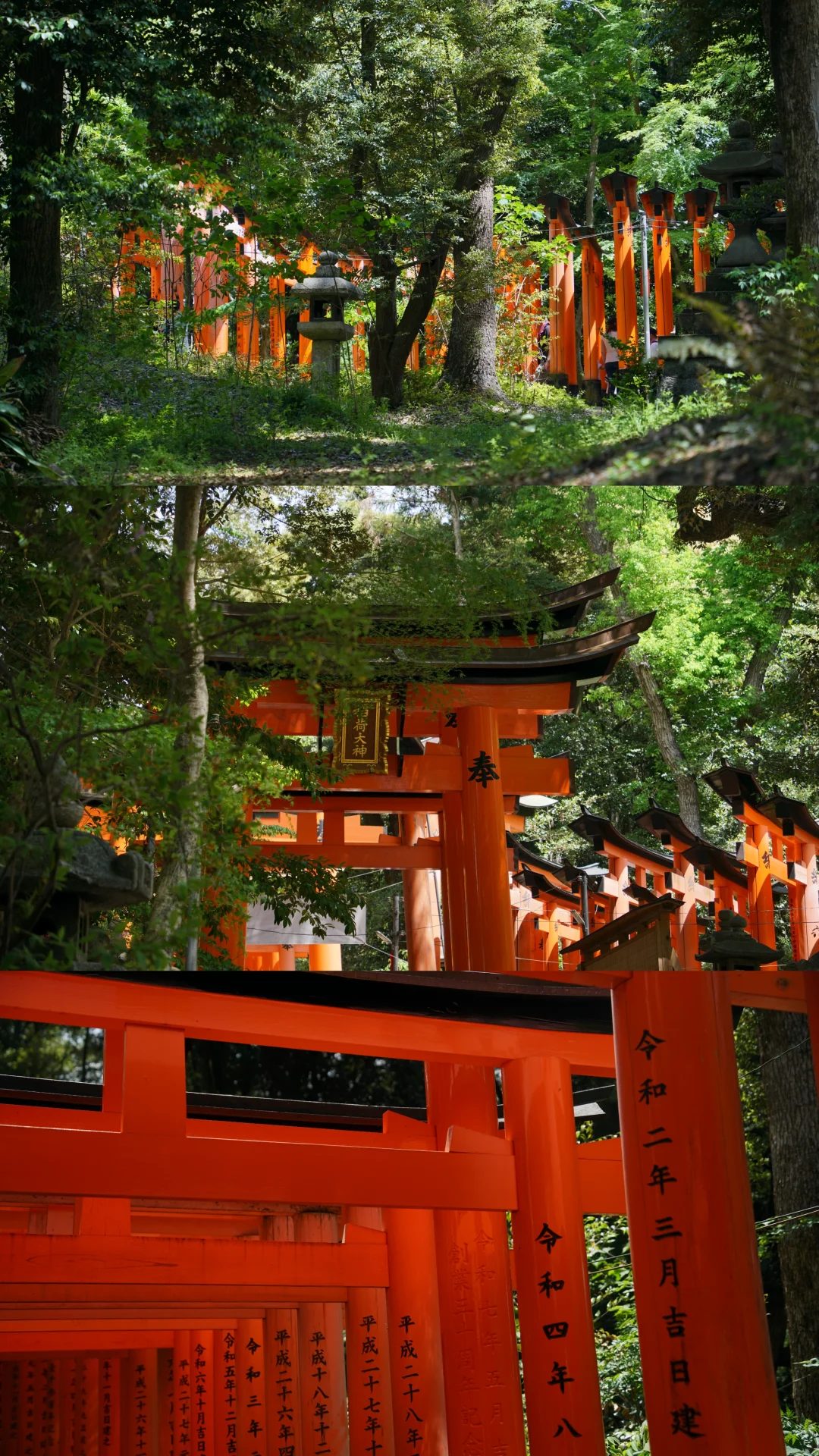 未曾设想的道路-京都攻略（避开人流版）