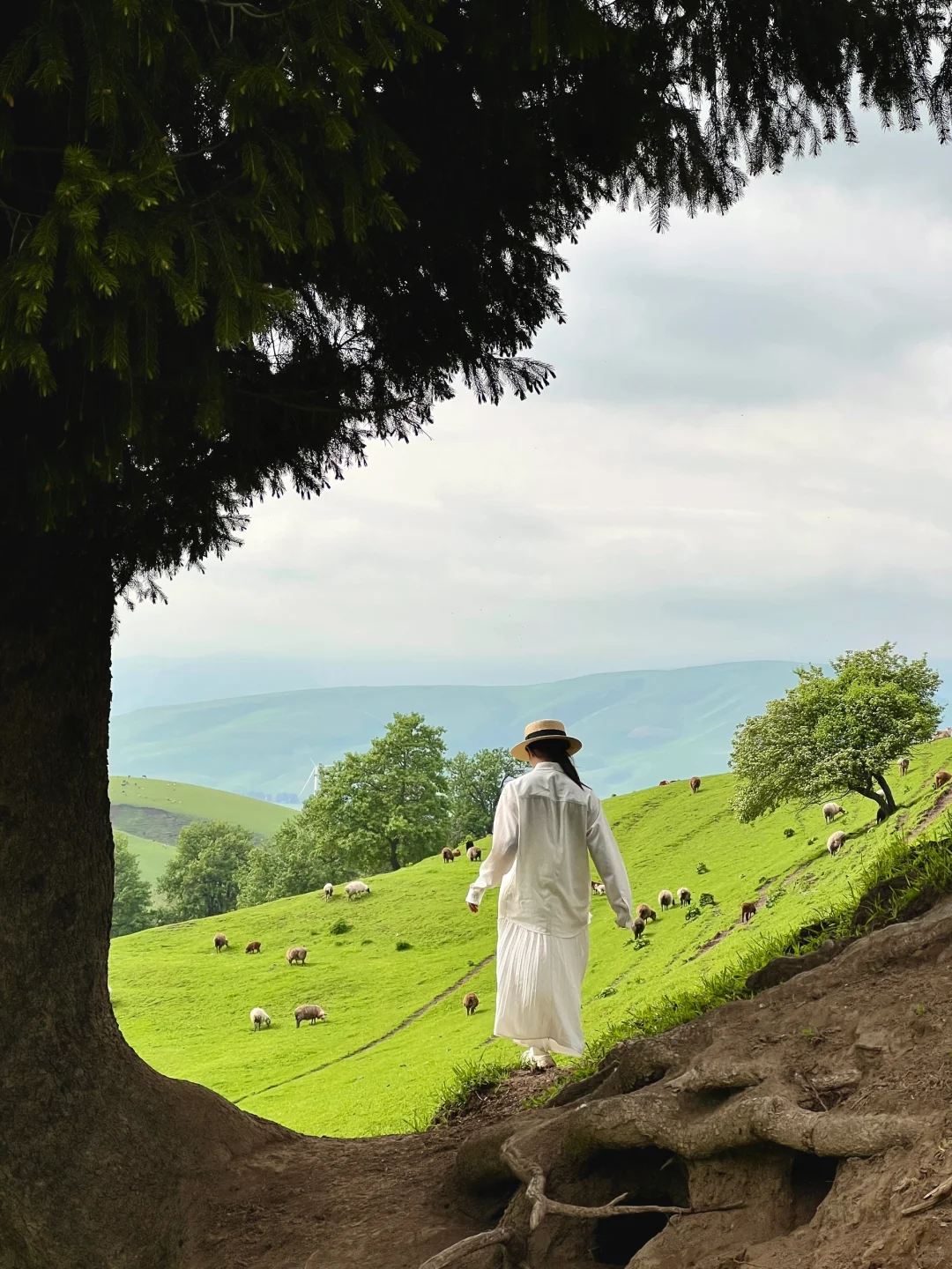 在新疆拍到了，我的人生live图！