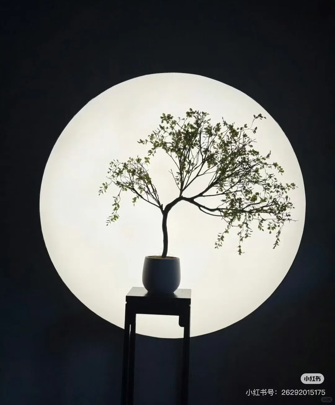 往返宁波十几次，最喜欢的旅游路线💯往返宁