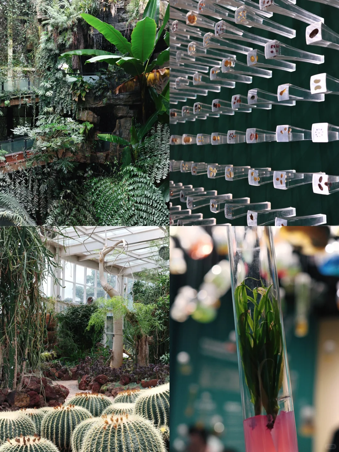 昆明到底谁爱去啊（我！附小众三日游攻略）