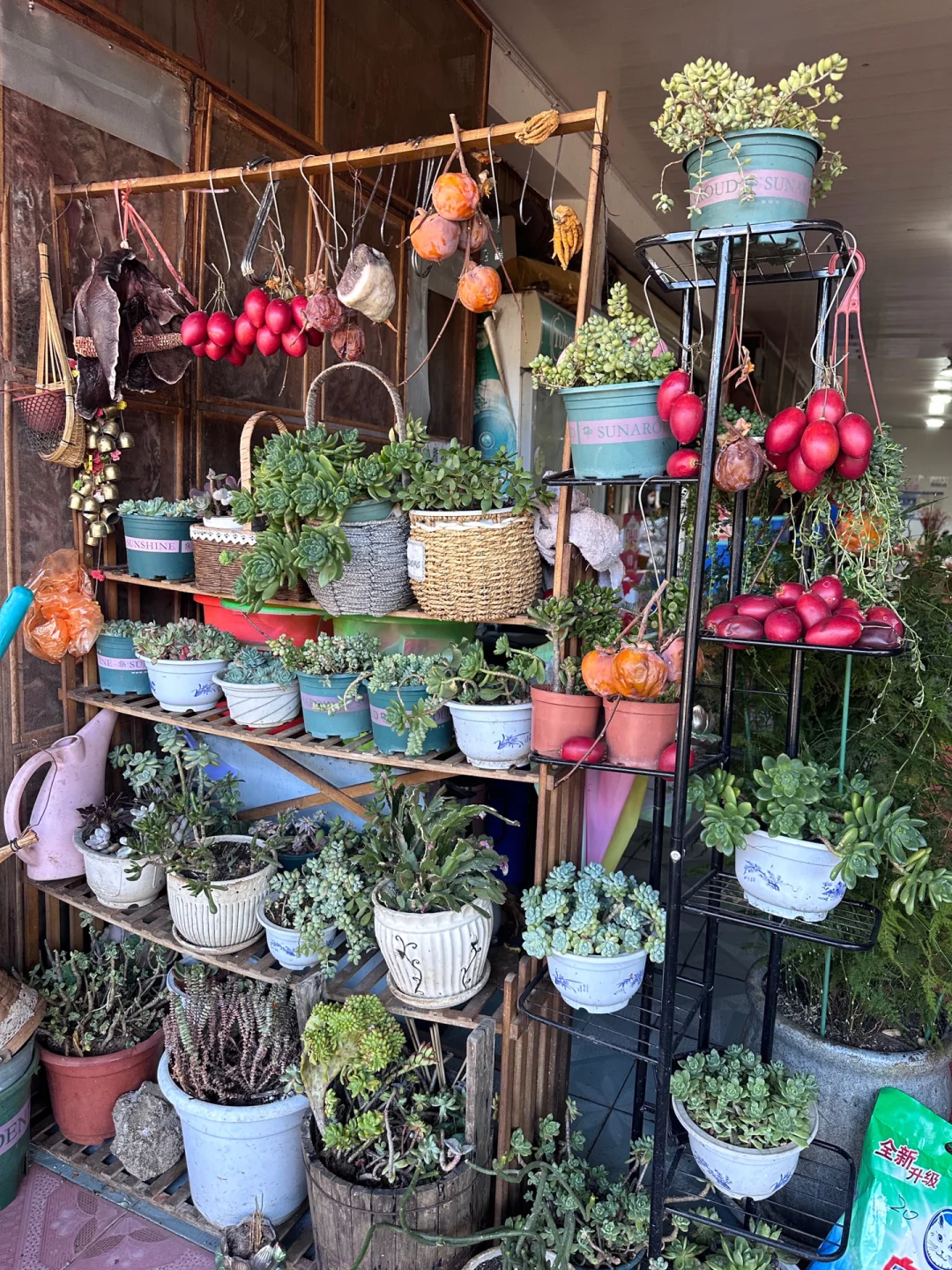 关于和闺蜜报了个云南纯玩团后续（纯分享）