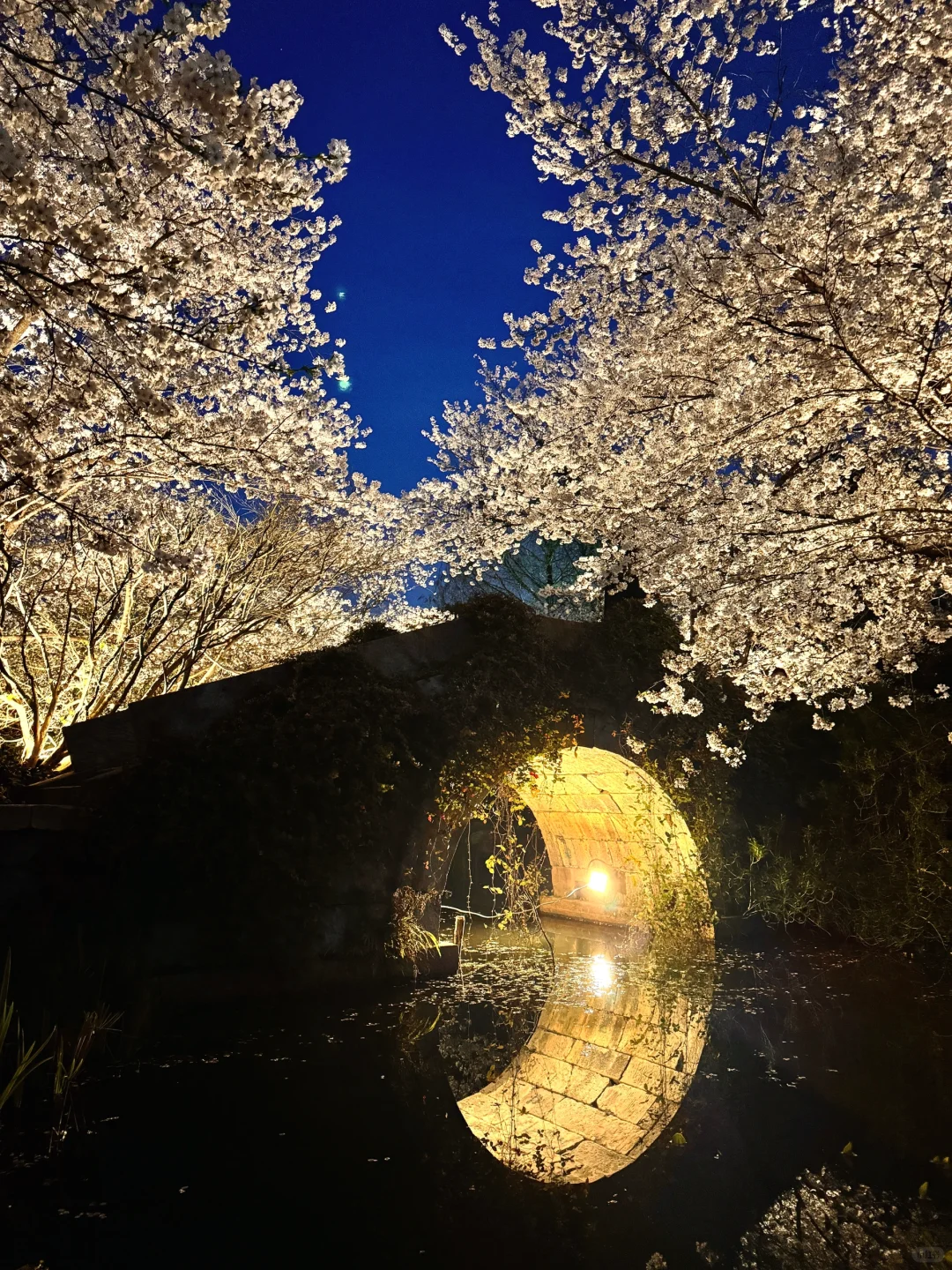 以为西湖够美了，直到我去了这里……