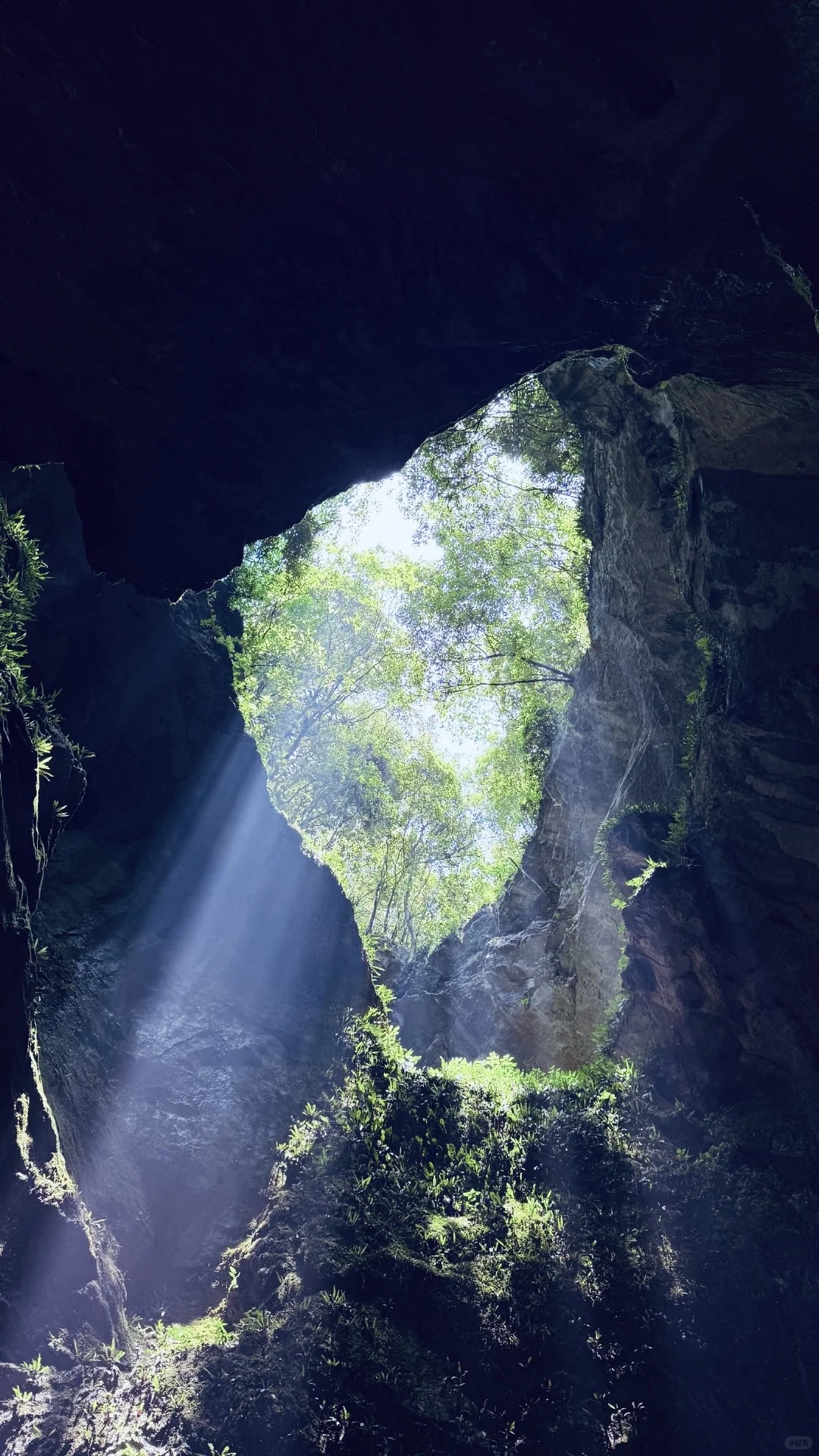 杭州避暑胜地「仙桥洞」绿野仙踪+ 丁达尔效应