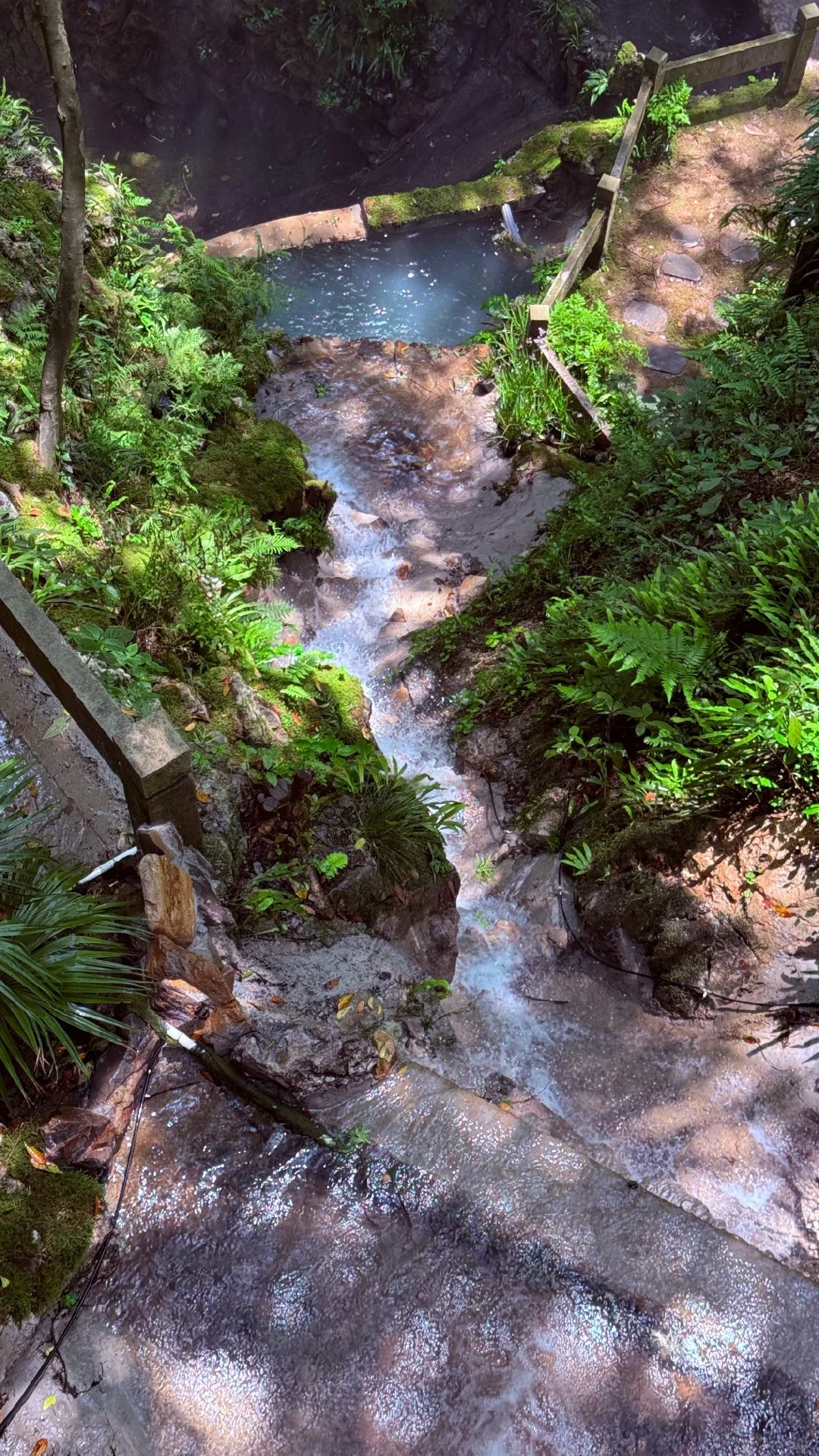 杭州避暑胜地「仙桥洞」绿野仙踪+ 丁达尔效应