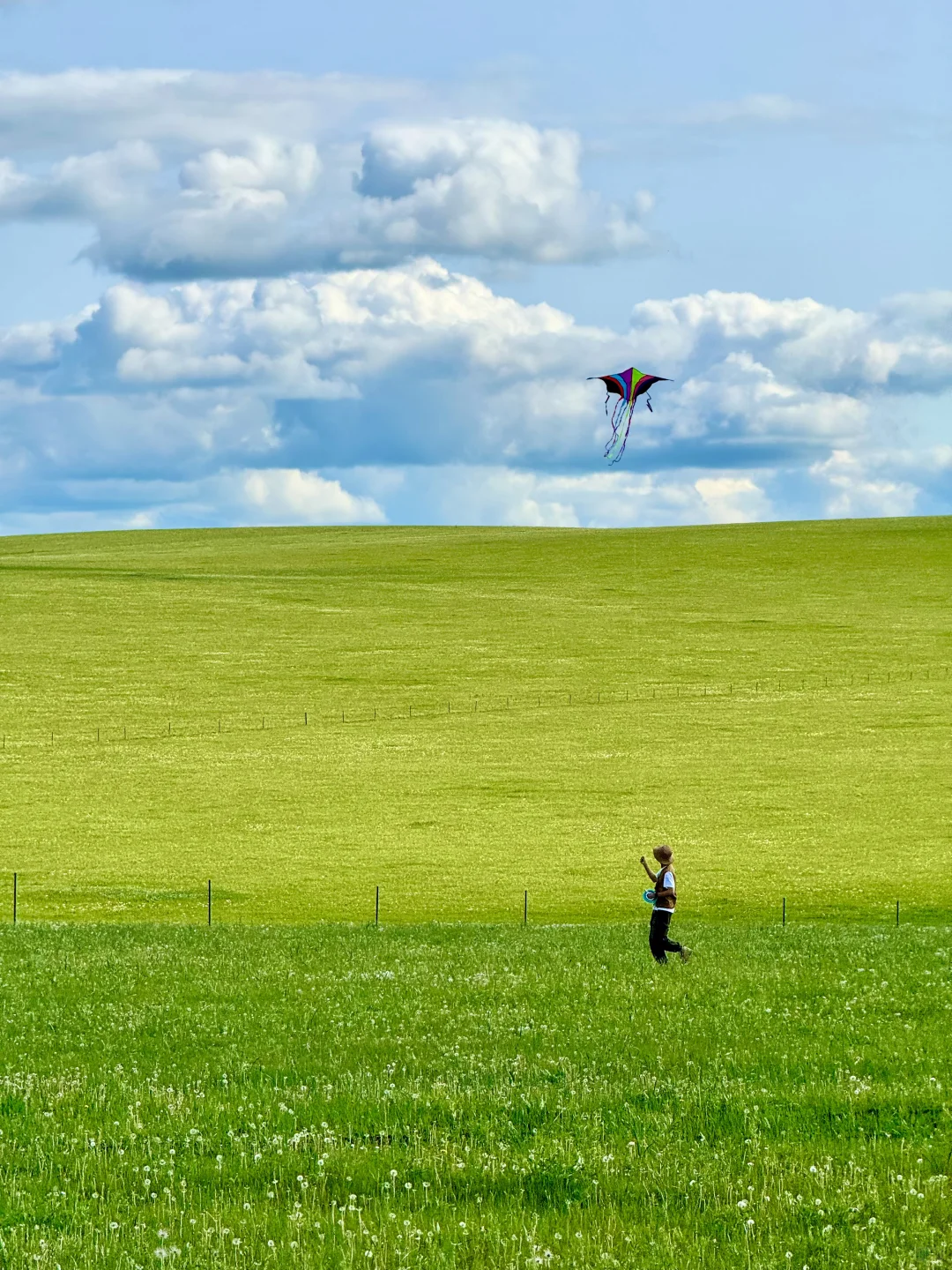 跟朋友去了趟内蒙古，真的可以媲美新西兰了…