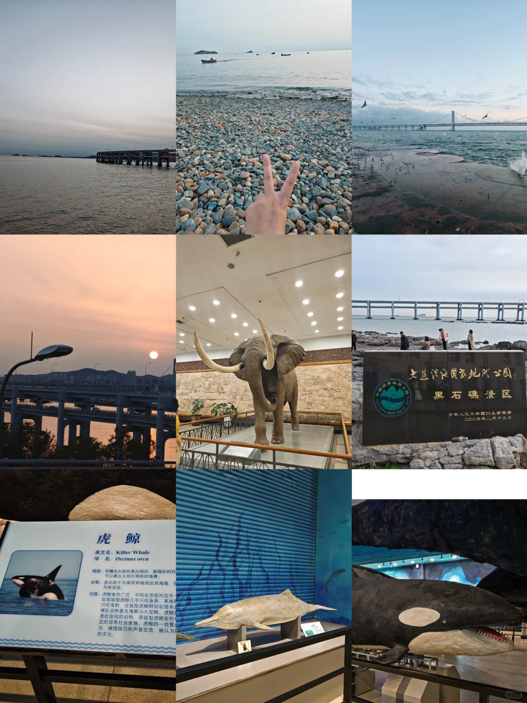 大连刚回✈️一个漂亮又浪漫的海滨城市