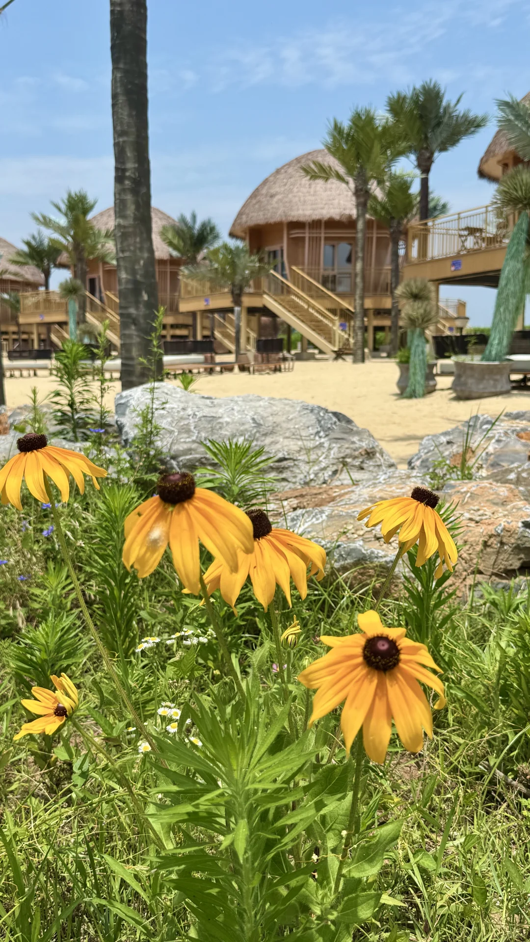 河南 你又美出了新高度🔝三天两夜