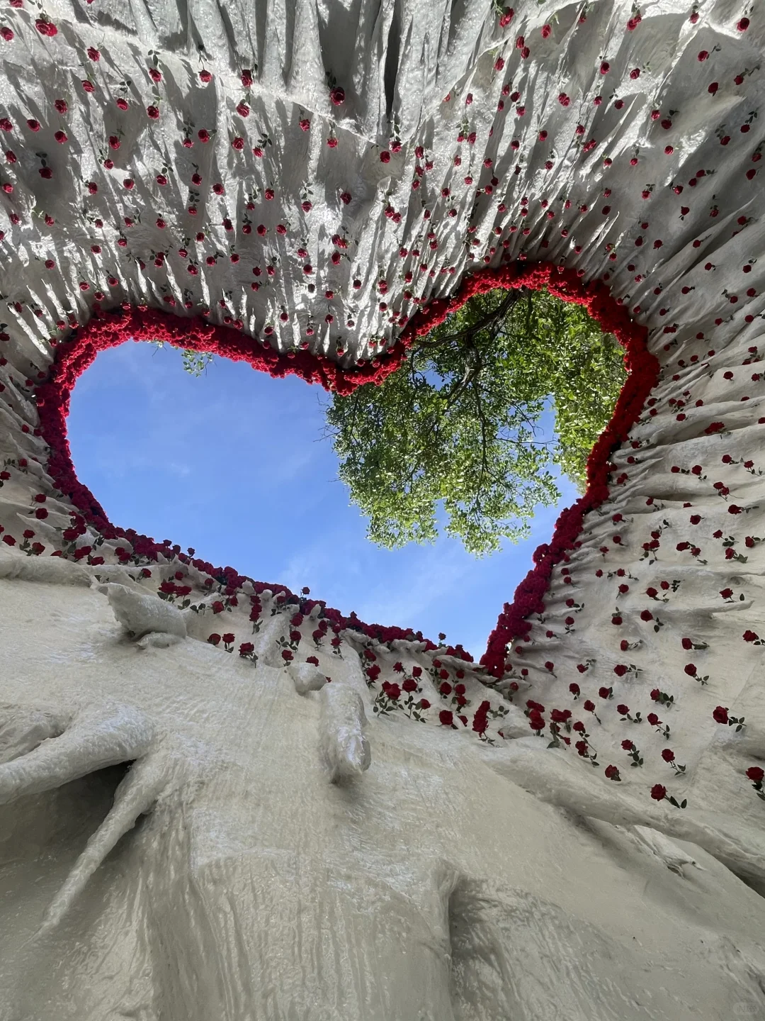 不是！来之前也没人给我说这么好玩啊！