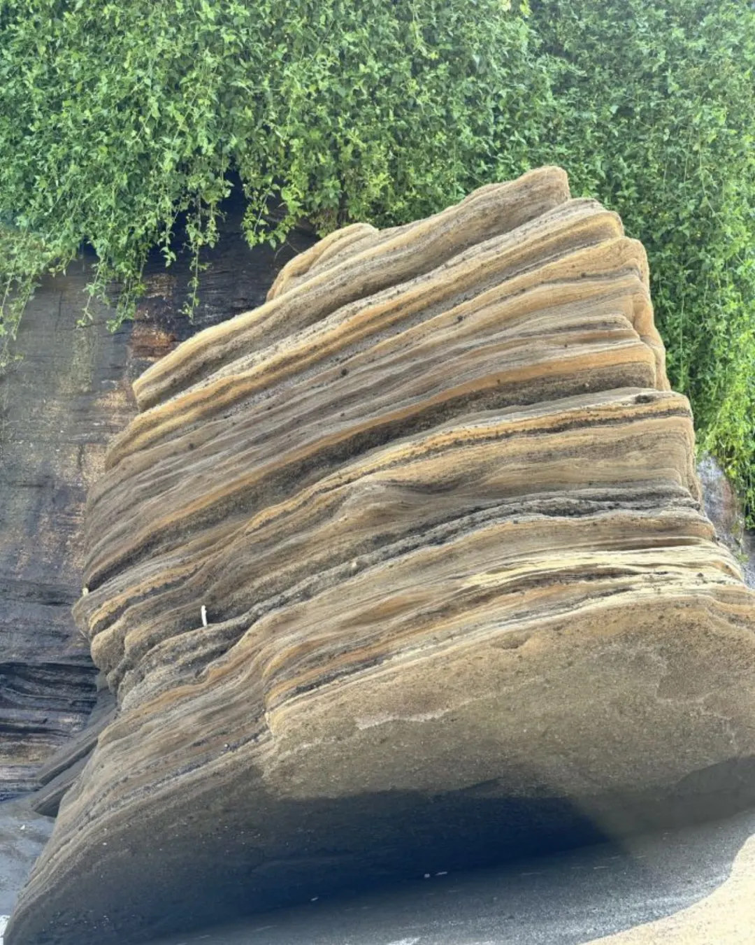 涠洲岛保姆级攻略