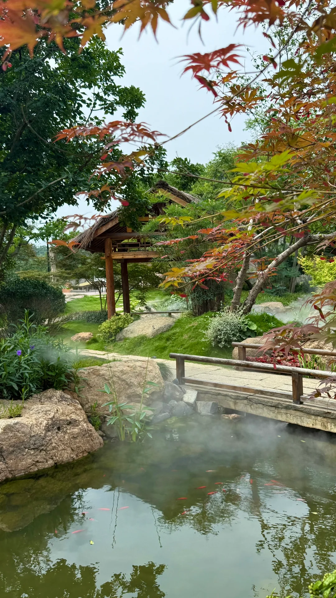 河南 你又美出了新高度🔝三天两夜