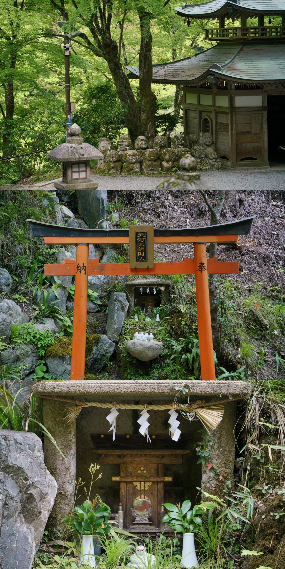 未曾设想的道路-京都攻略（避开人流版）