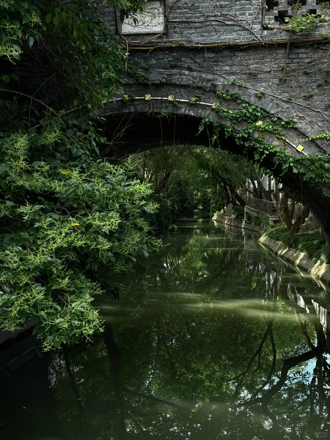 扬州你就逛吧，一逛一个不吱声