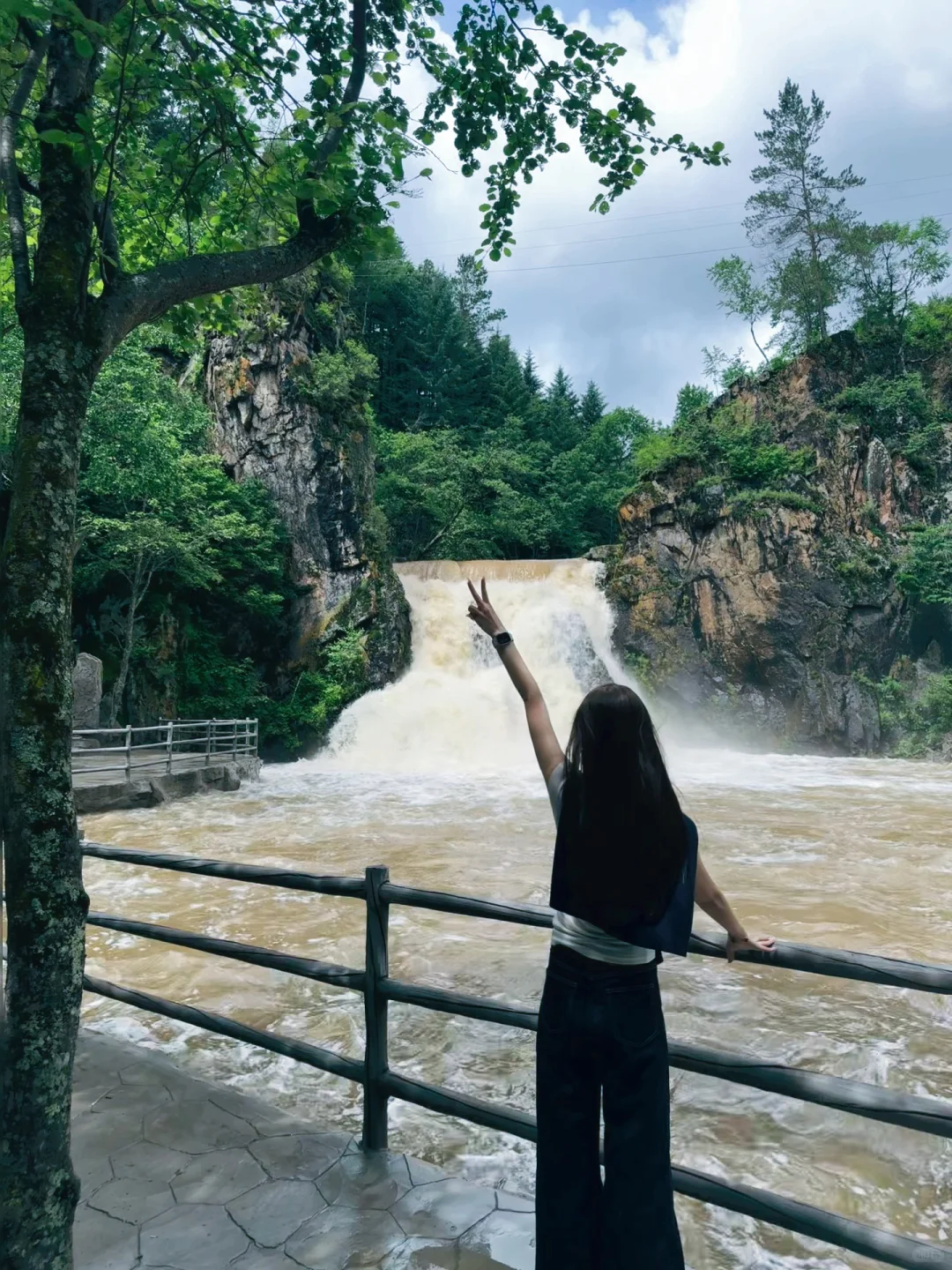 ＂目光所及皆苍绿＂🌲🌿