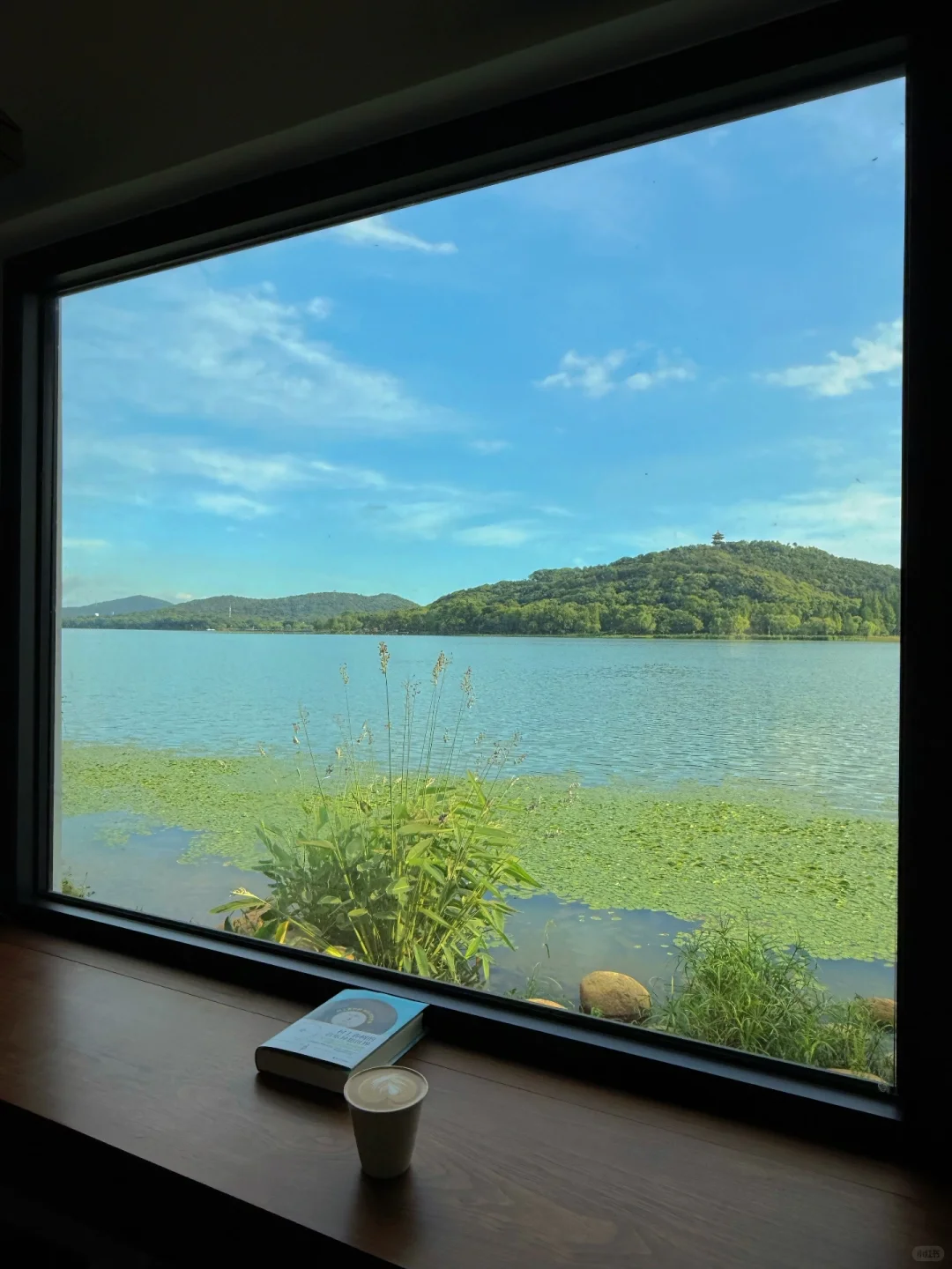 无锡夏天最迷人的小岛，我会反复爱上。