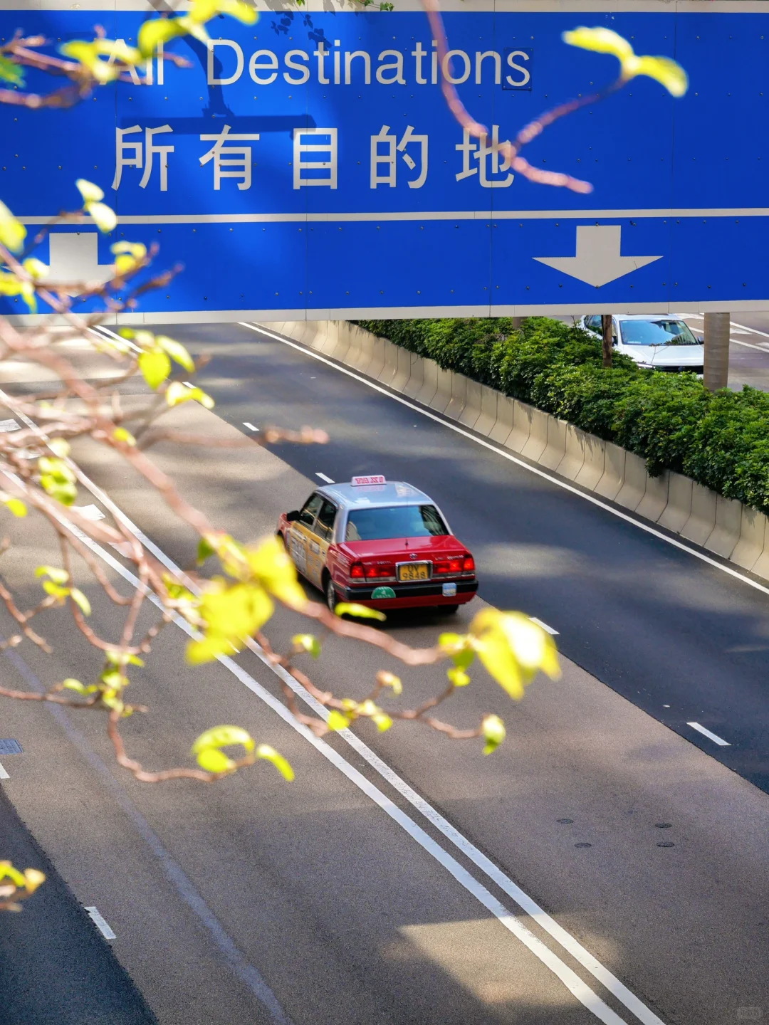 人生建议‼️去香港拍完这些图再离开！附机位