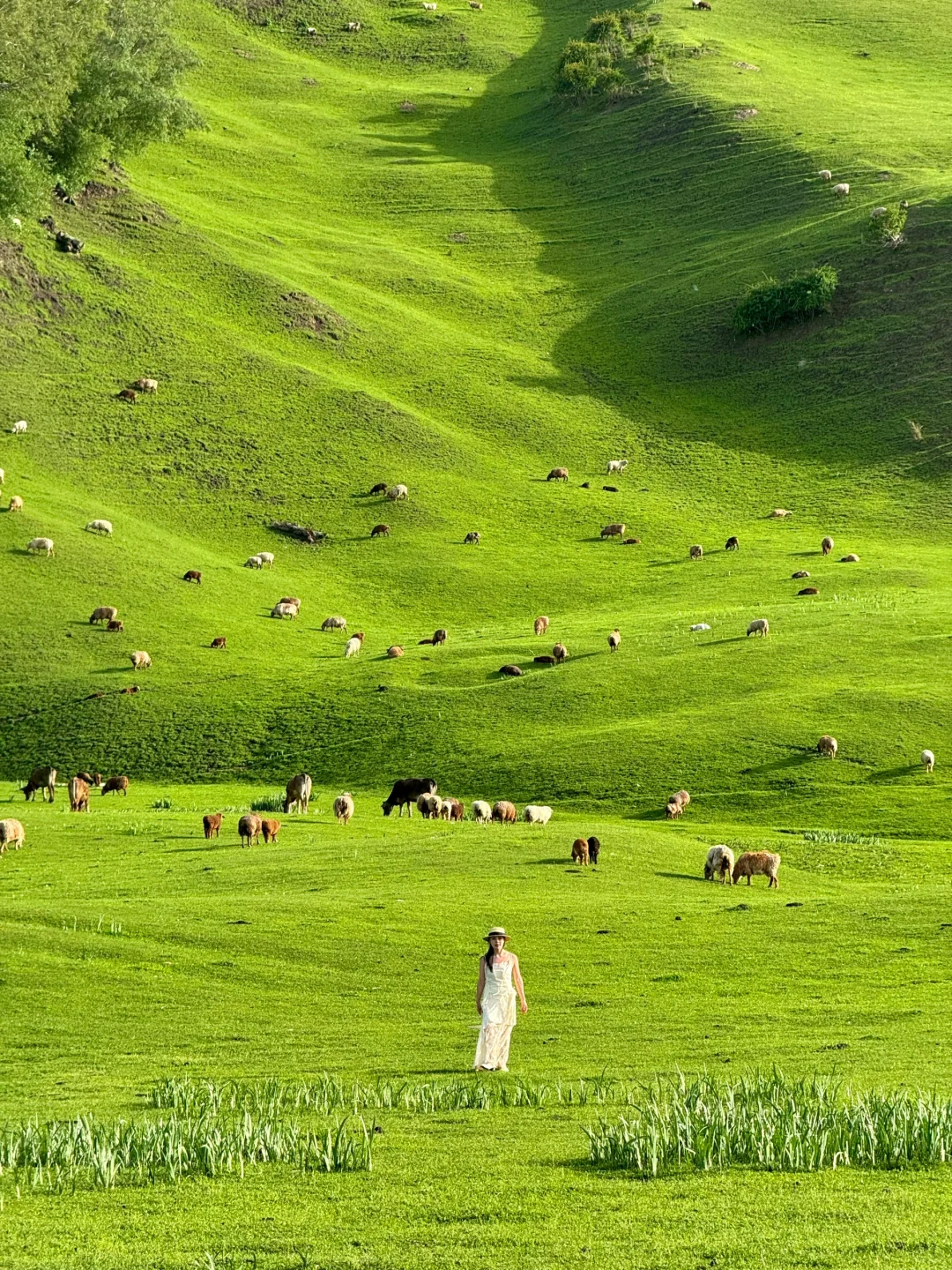 在新疆拍到了，我的人生live图！
