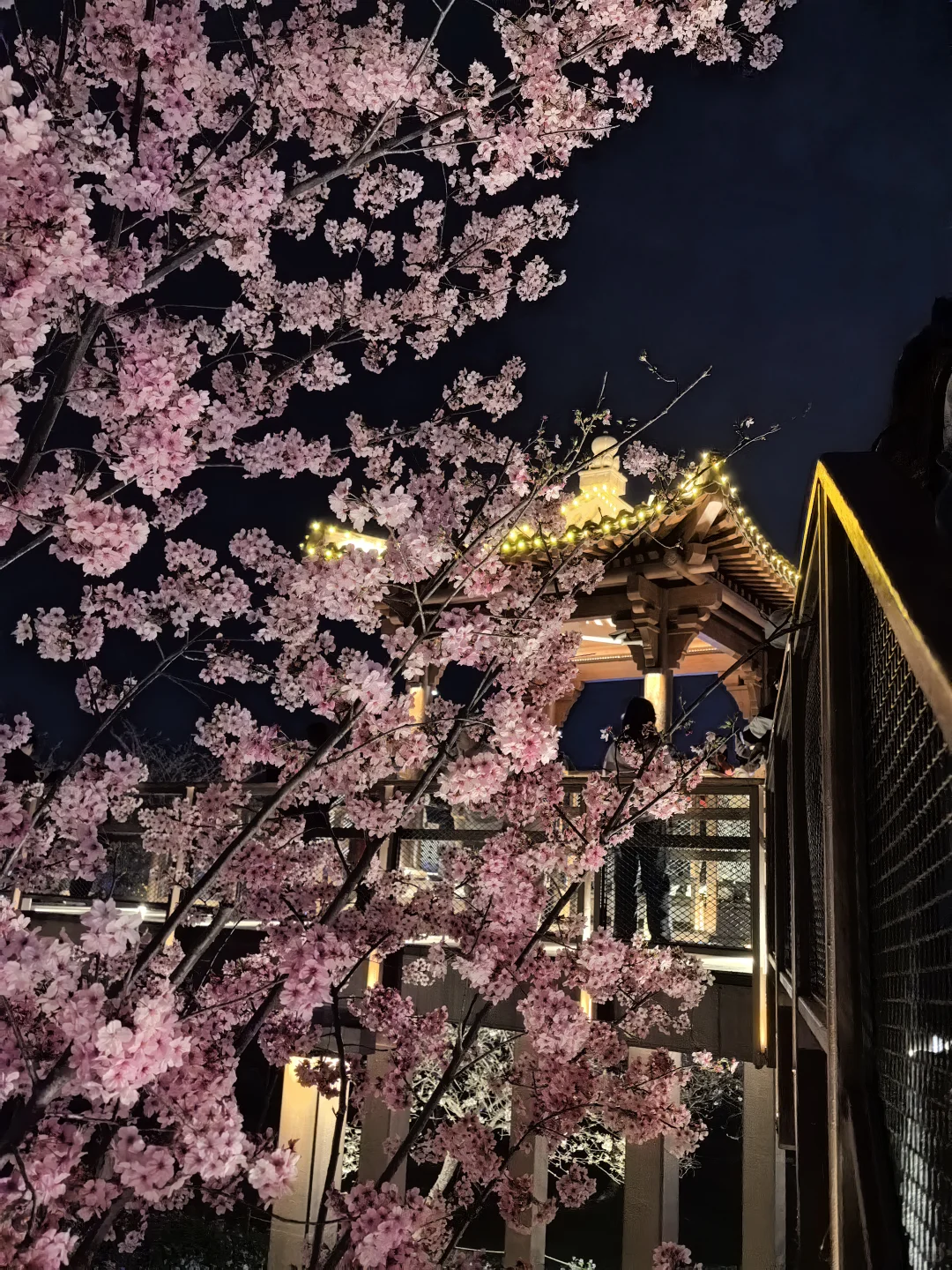 湖南-湖北｜长沙-武汉5日游攻略4️⃣.2️⃣