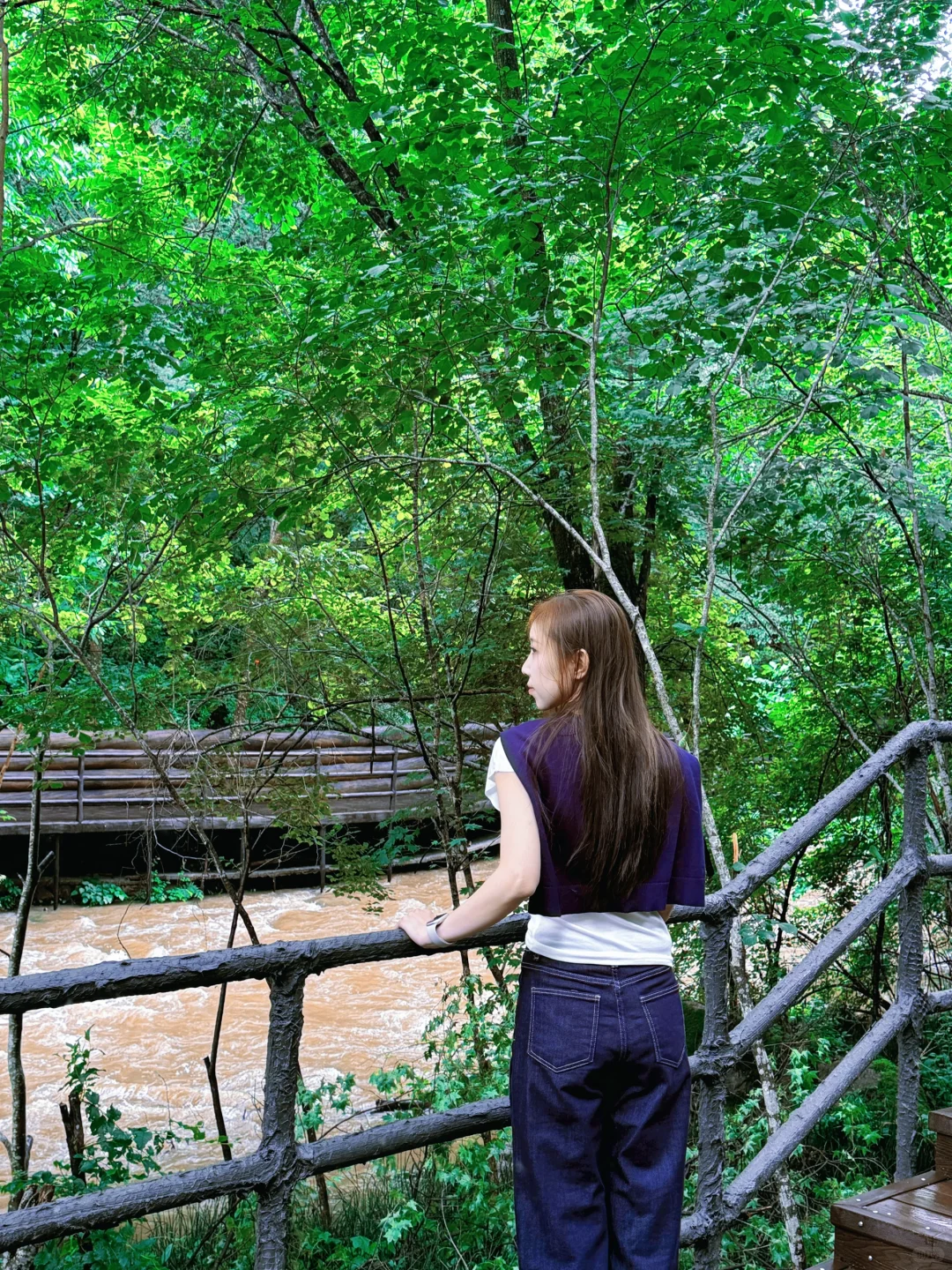 ＂目光所及皆苍绿＂🌲🌿