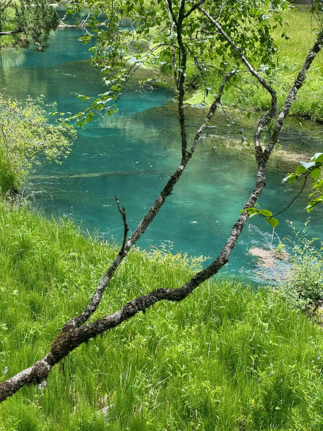 1000块💰玩转九寨沟两天一夜