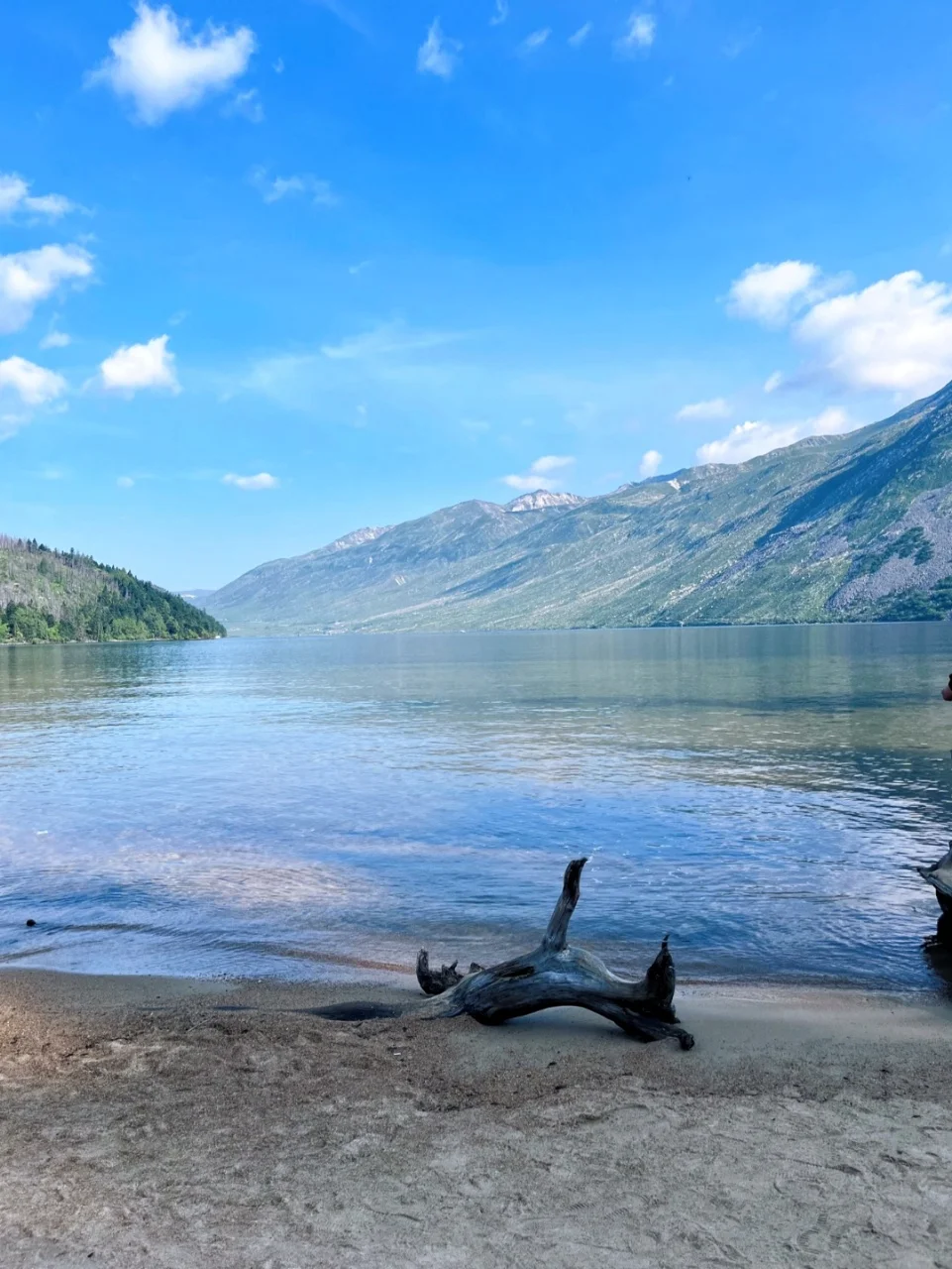 6月的川西是令人向往的