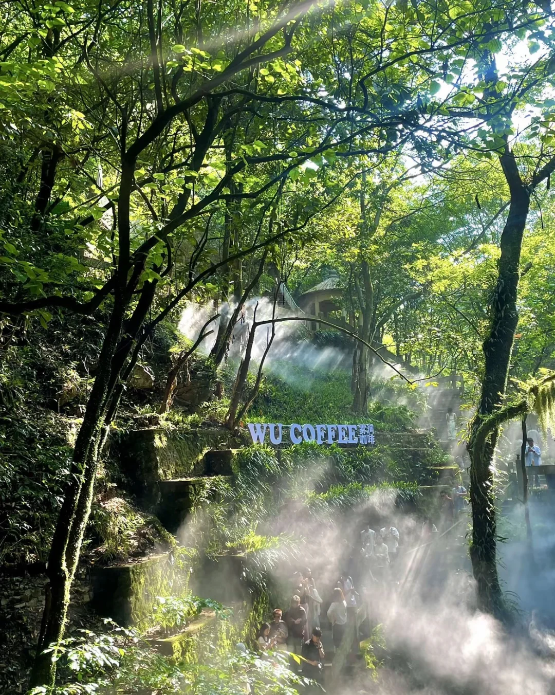 杭州避暑胜地「仙桥洞」绿野仙踪+ 丁达尔效应