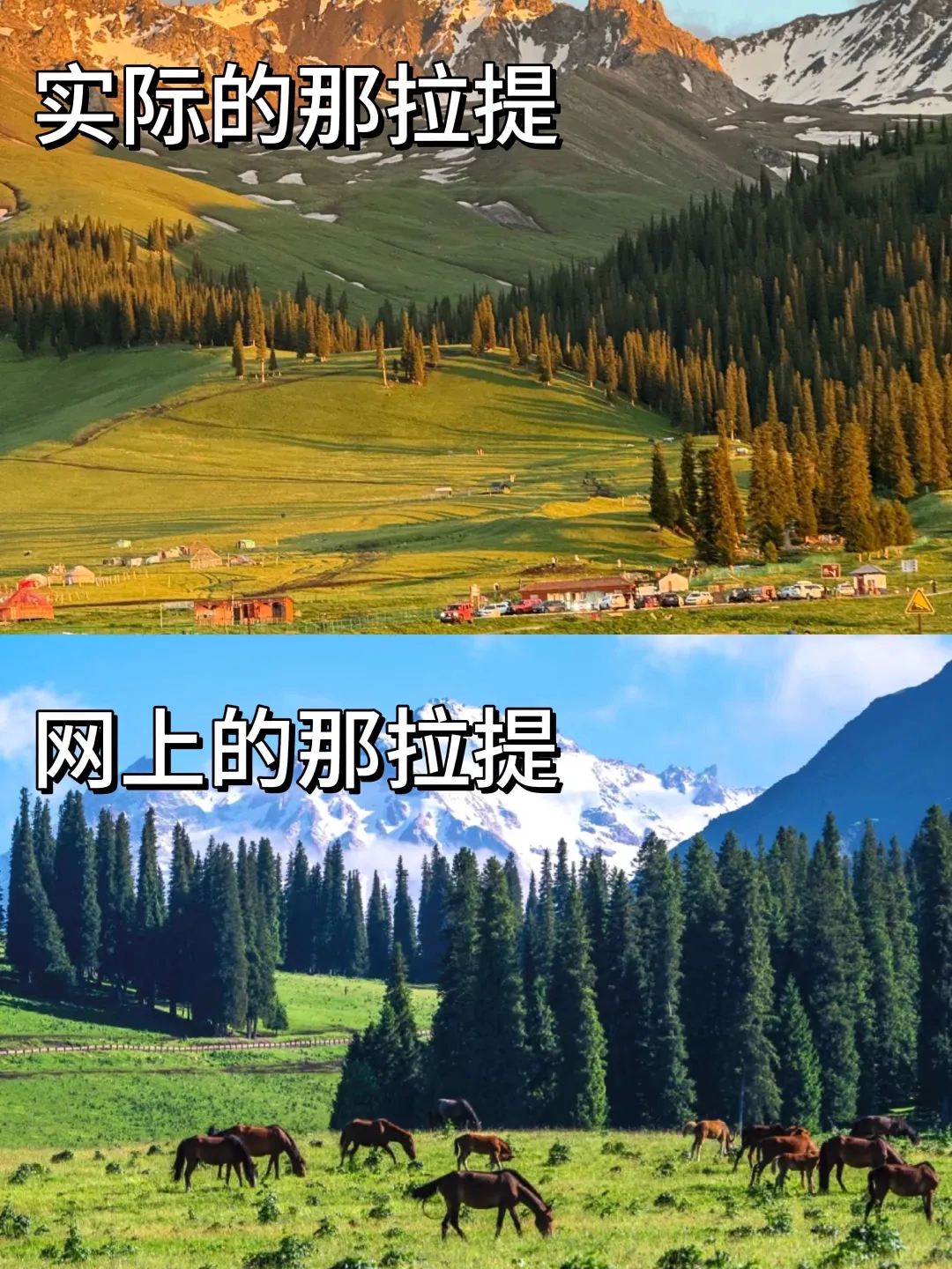 xhs别把人当傻子，新疆伊犁5—6月听一句劝