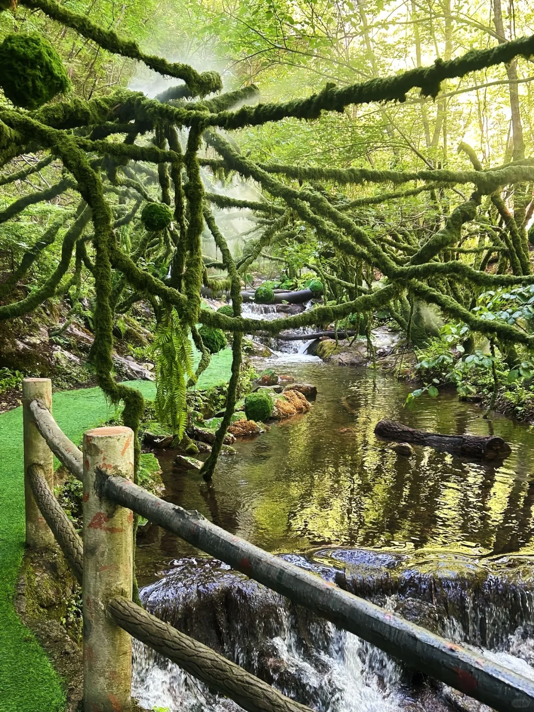 郑州周边｜闯入现实版绿野仙踪——重渡沟