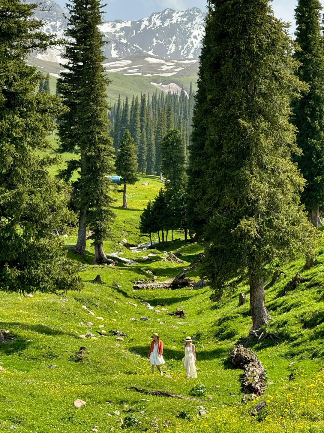 在新疆拍到了，我的人生live图！