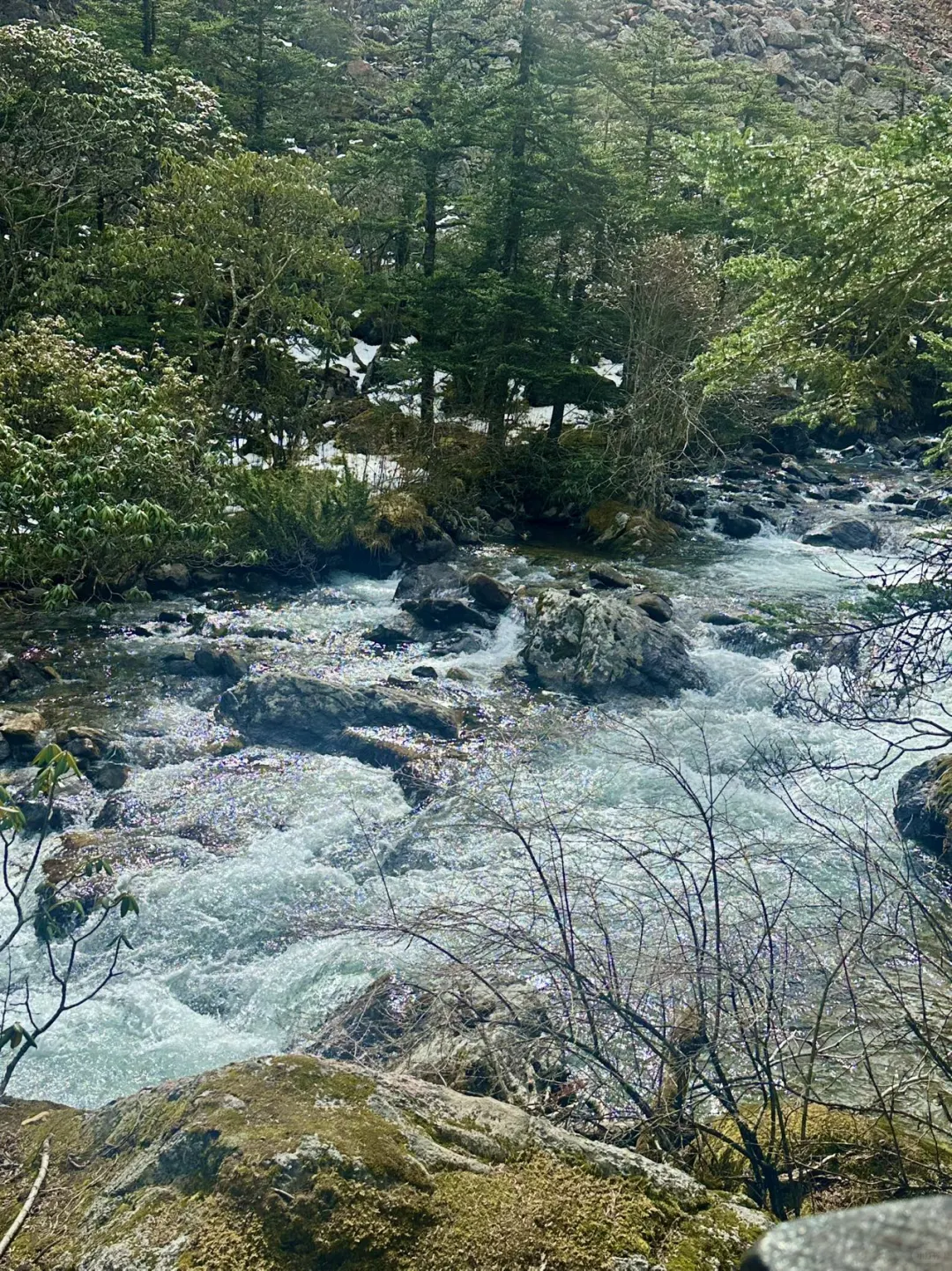 在川西！去山里感受20度的夏天💦