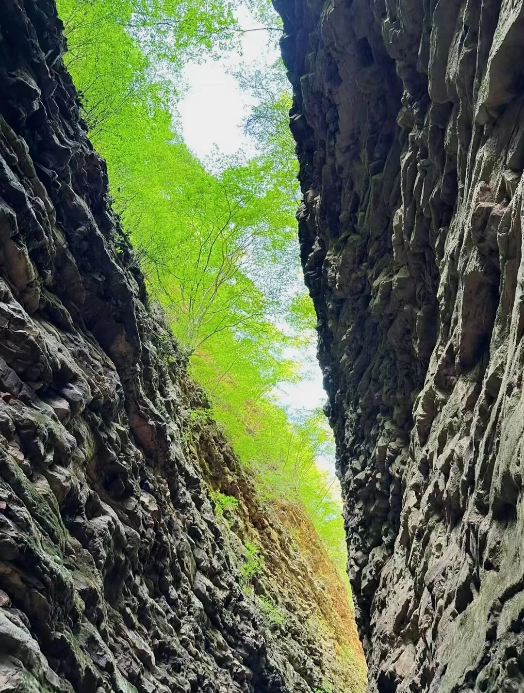 旅游才是夏天该做的事情！