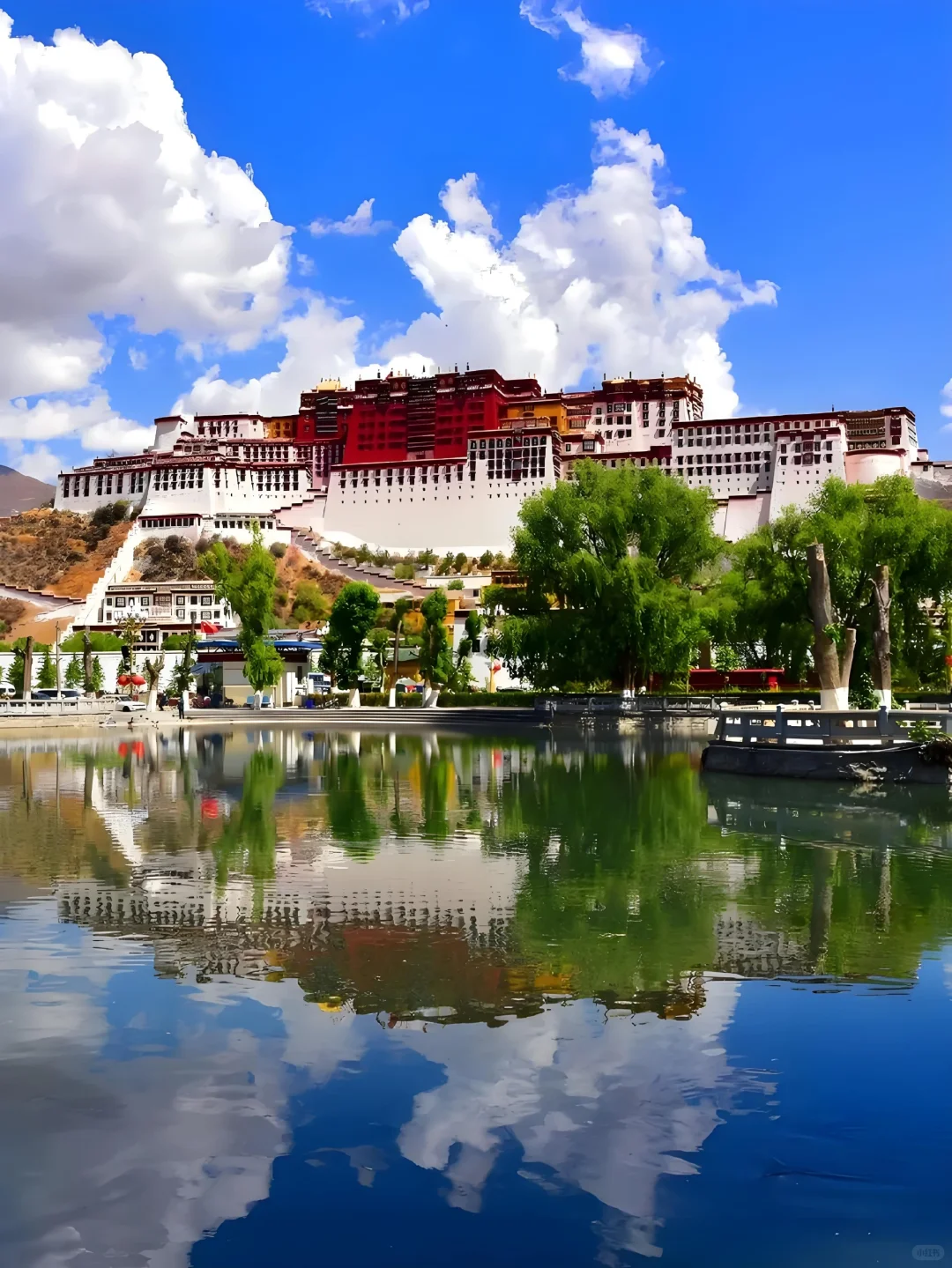 西藏后劲太大了！😭