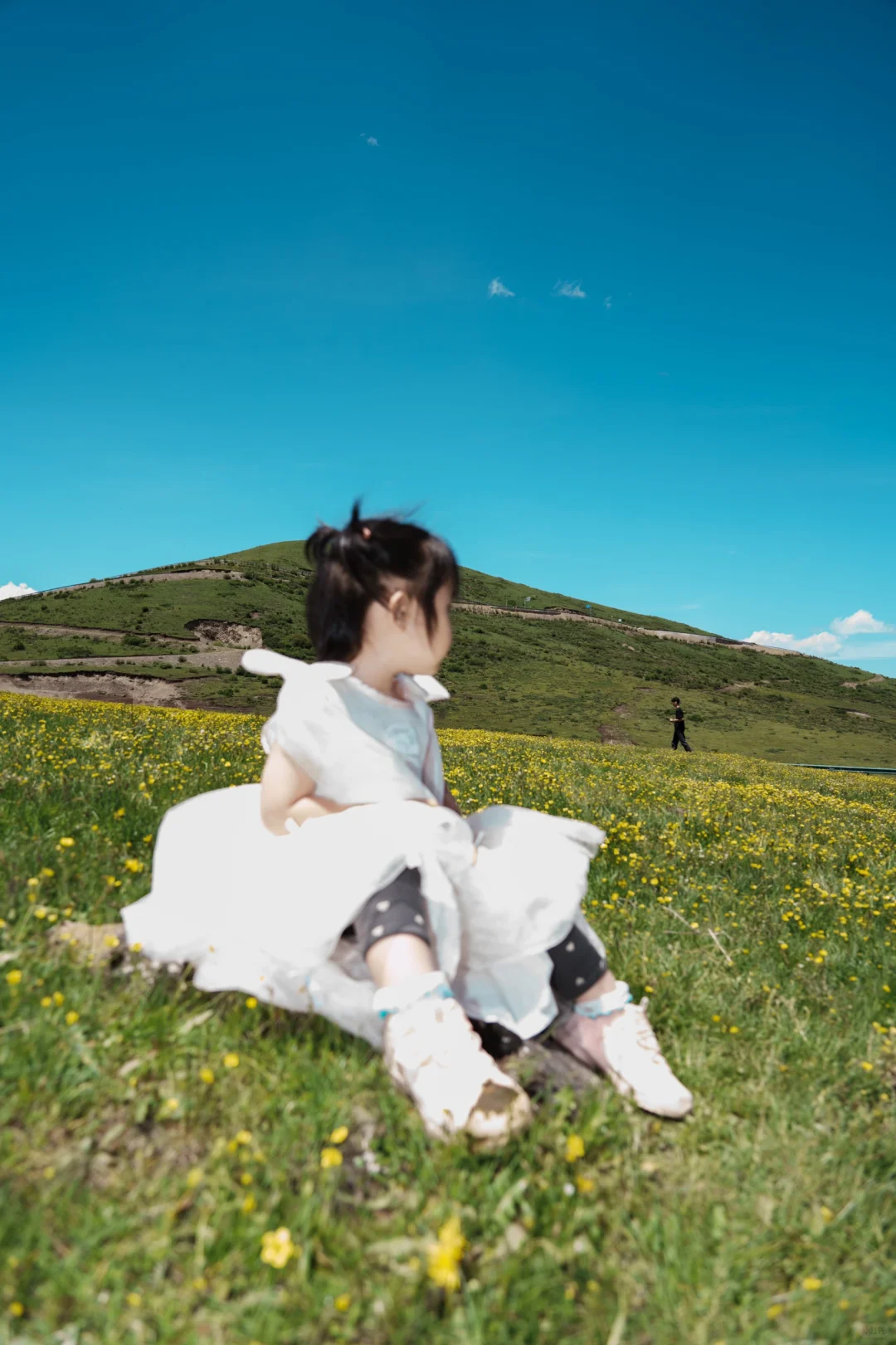 花海去什么俄么塘，达格则啥都能实现。