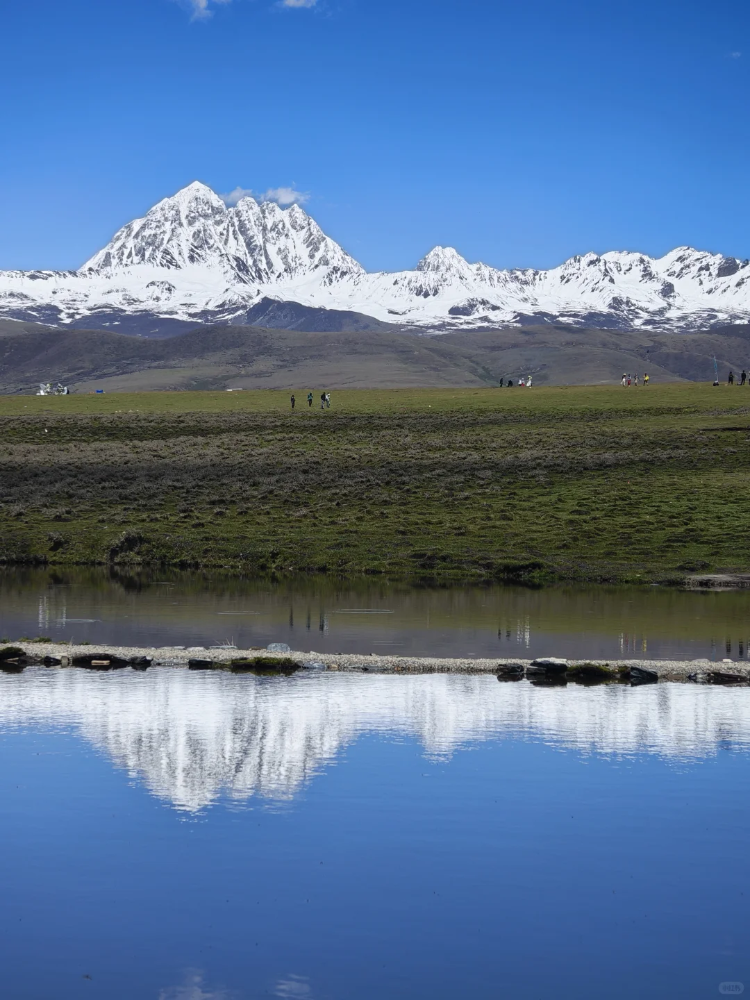 说一个你认为川西最坑的景点