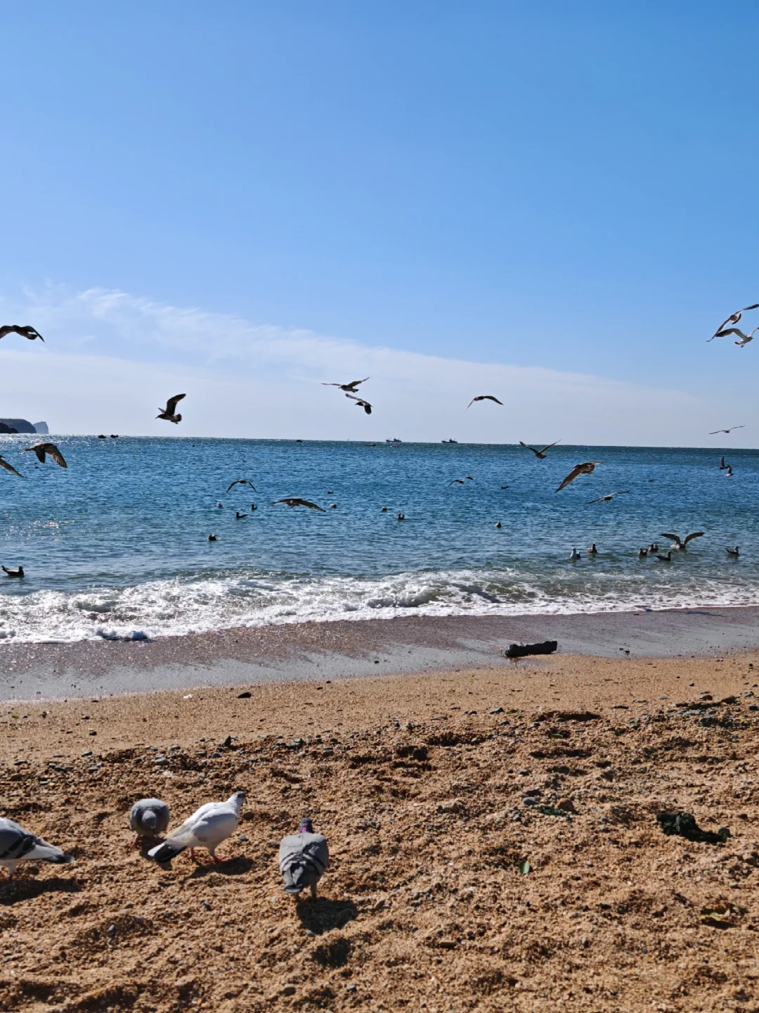 大连刚回✈️一个漂亮又浪漫的海滨城市