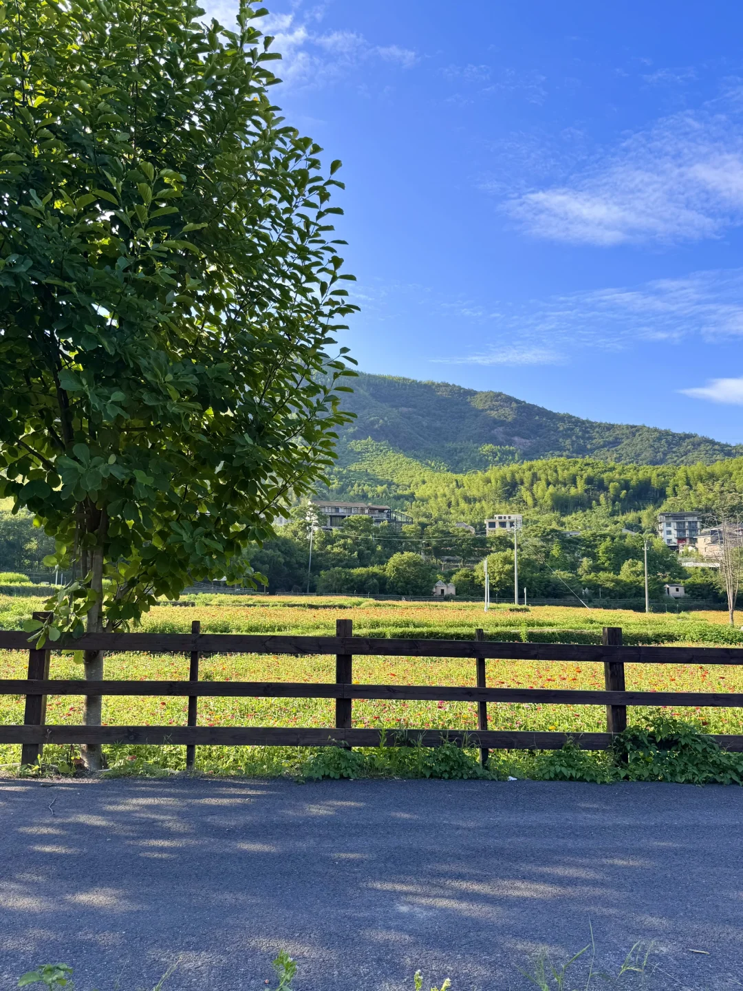 去莫干山一次等于看心理医生一百次‼️附攻略