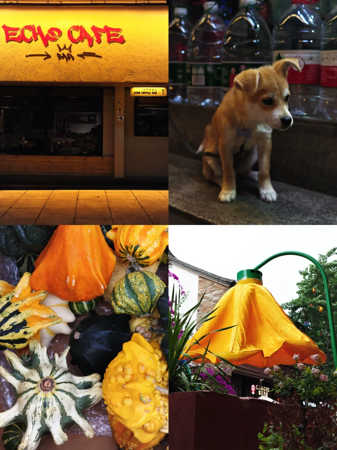 昆明到底谁爱去啊（我！附小众三日游攻略）