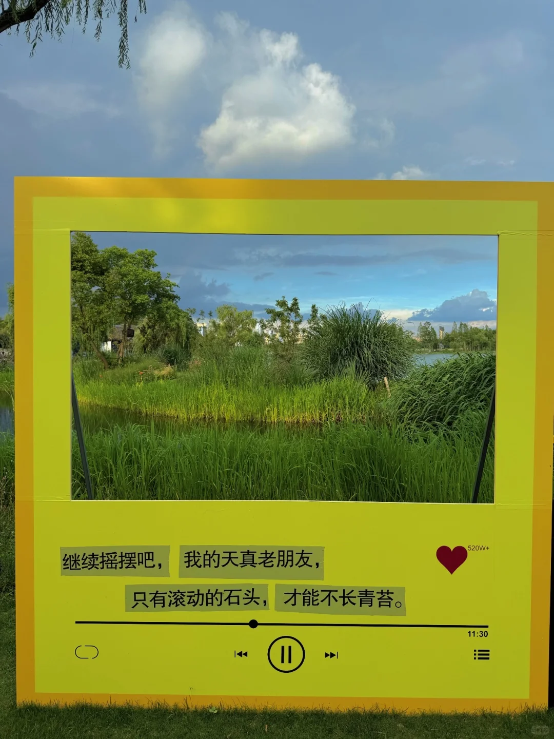 无锡夏天最迷人的小岛，我会反复爱上。