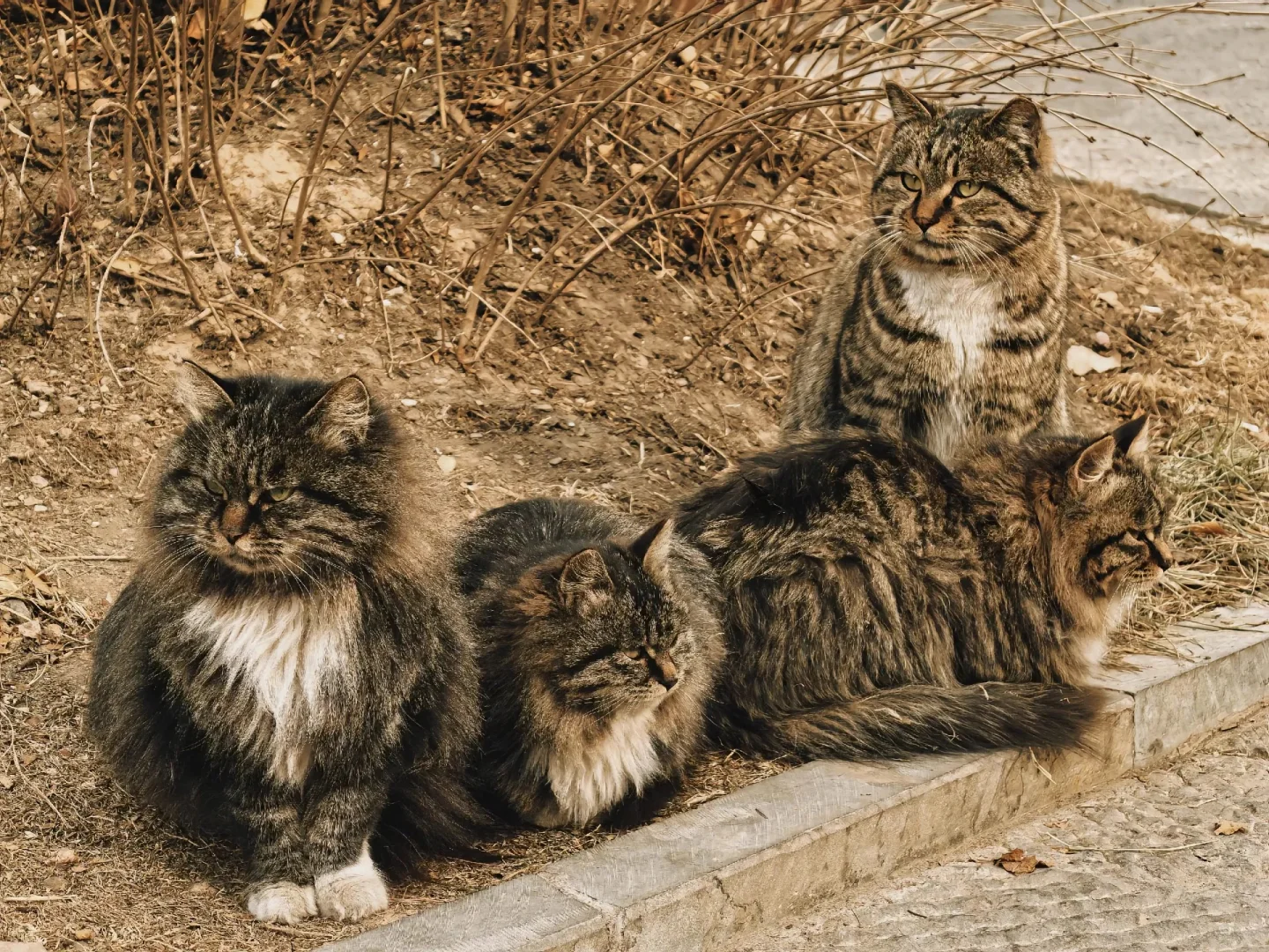 历史古景点打卡文案