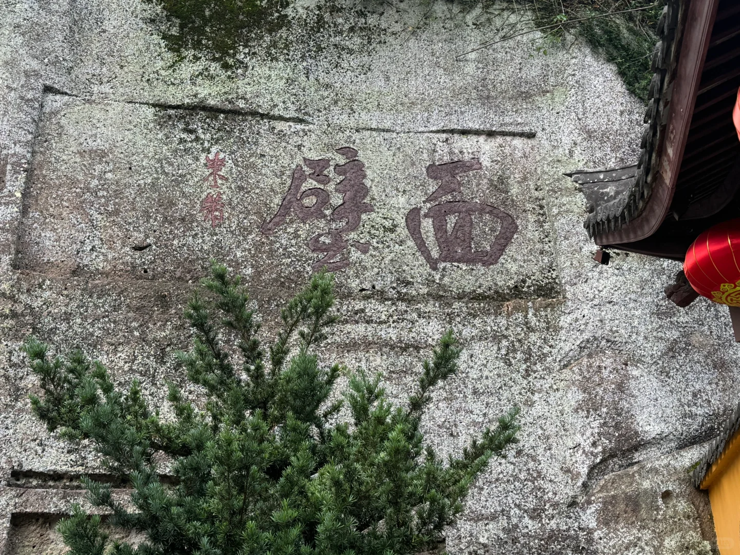 这景区的小众路线，清净到能听见花开💐