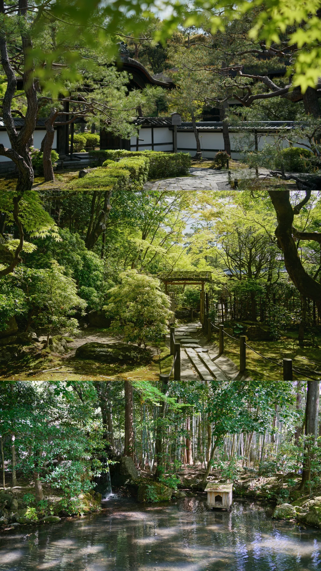 未曾设想的道路-京都攻略（避开人流版）