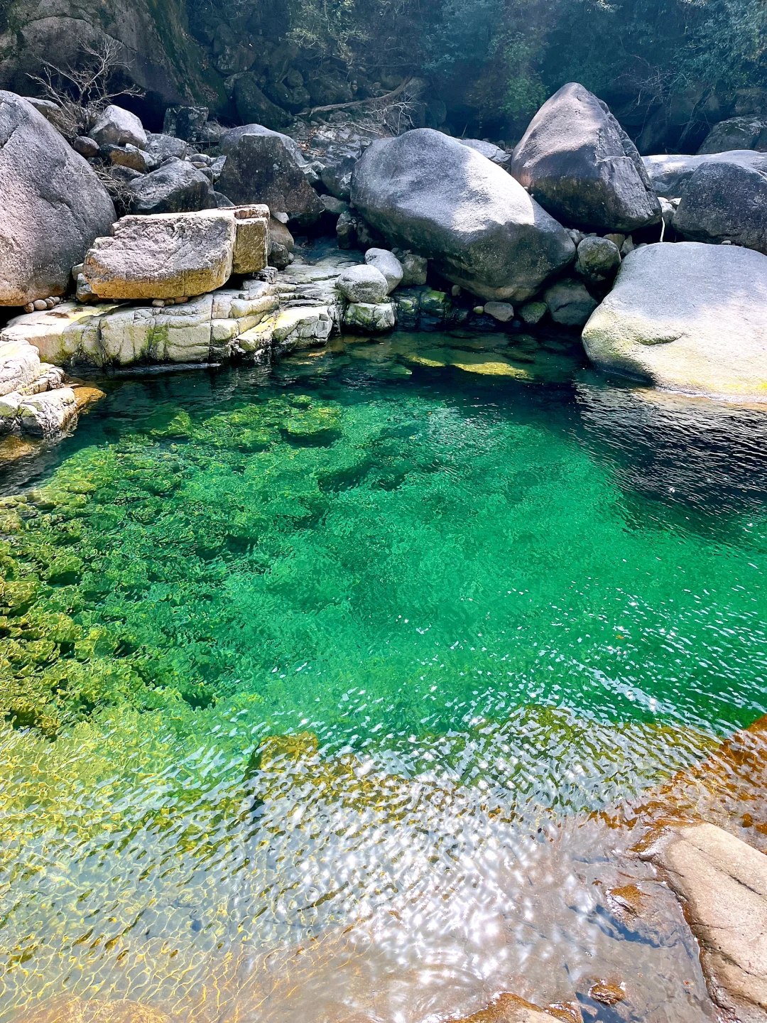 江浙沪皖暑假遛娃去皖南，溯溪玩水观溶洞