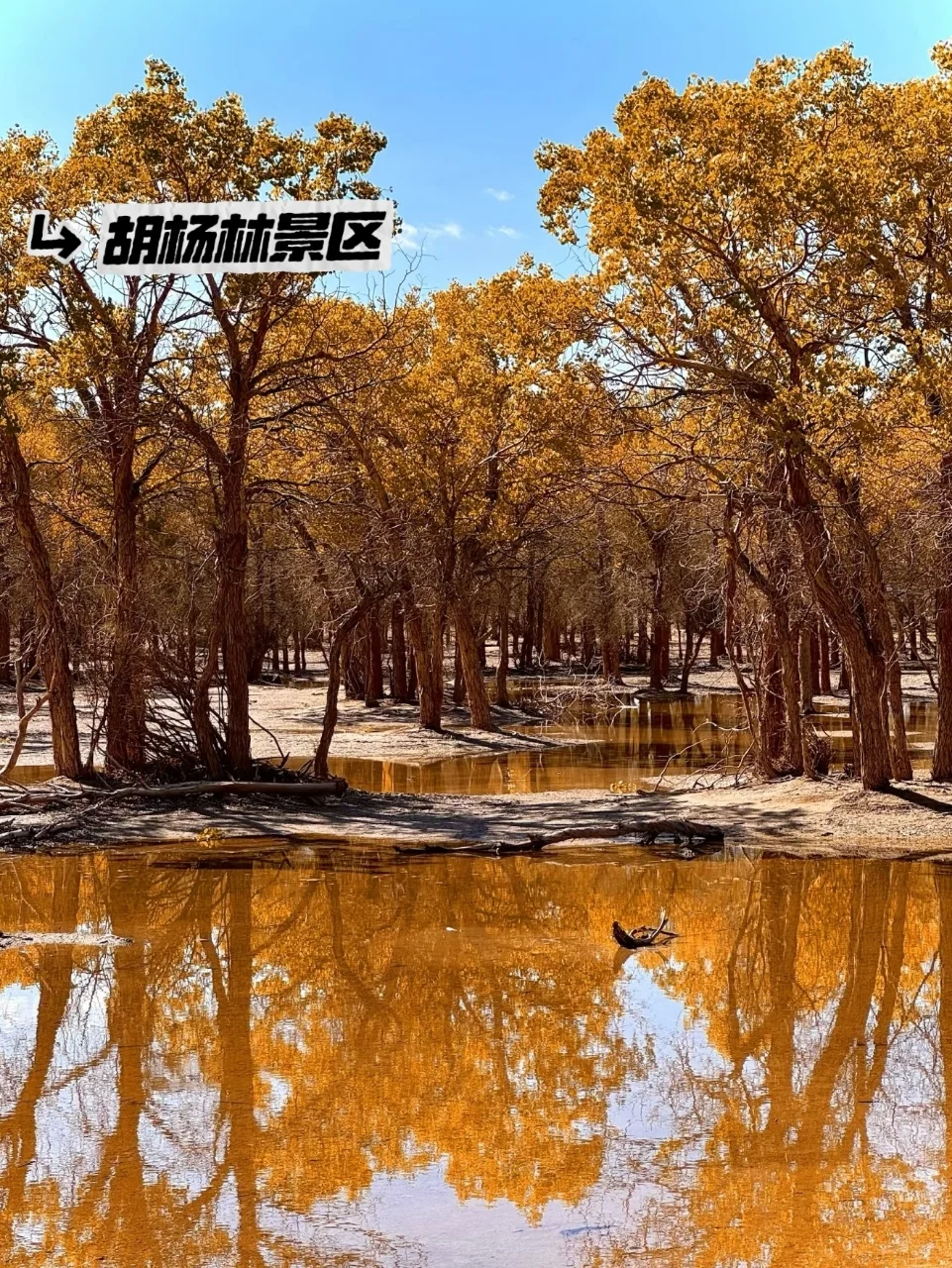 人生建议：6-9月一定要去一次内蒙古